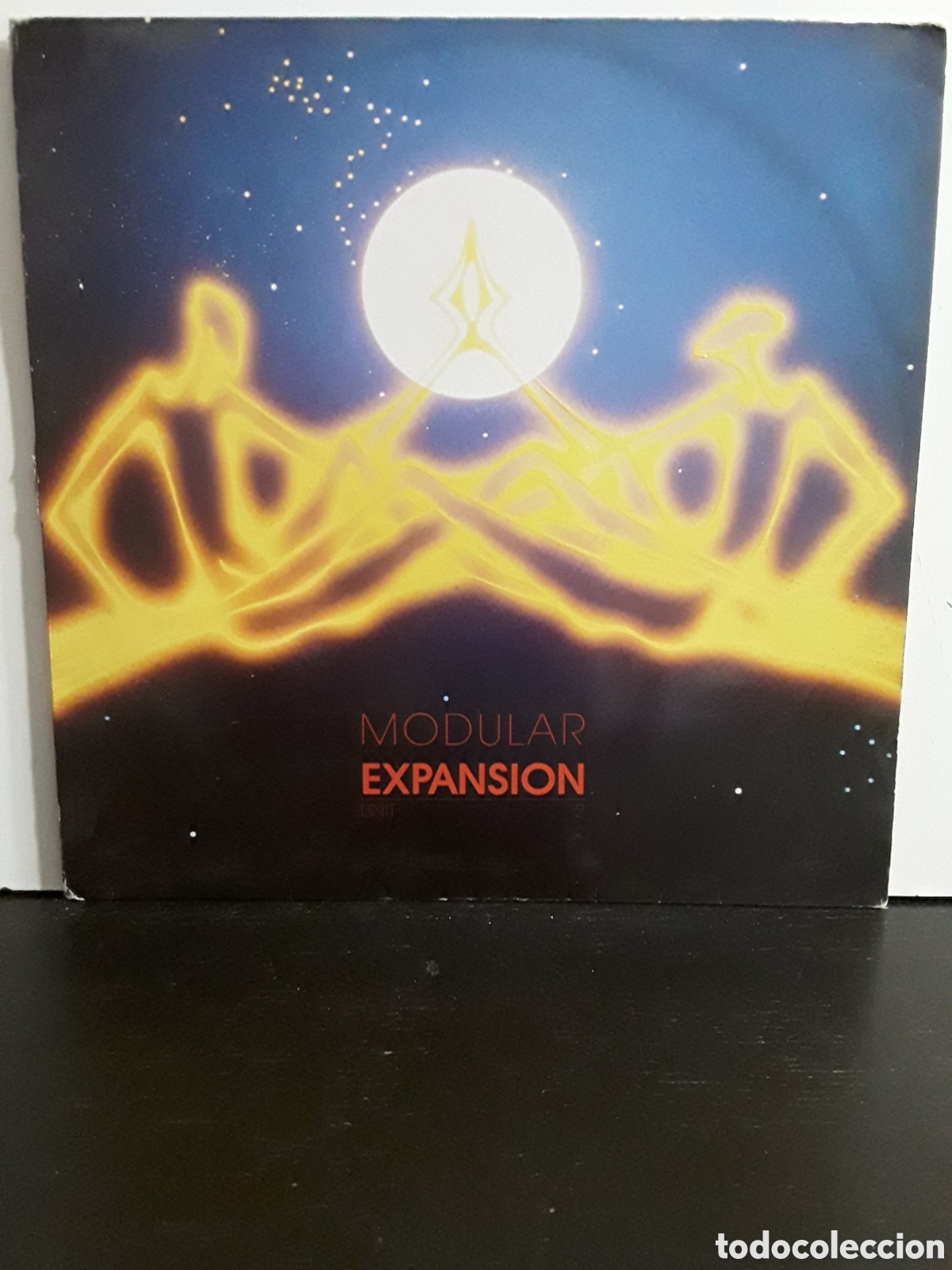 Discos de vinilo: Modular Expansion &lrm;&ndash; Unit II - Foto 1