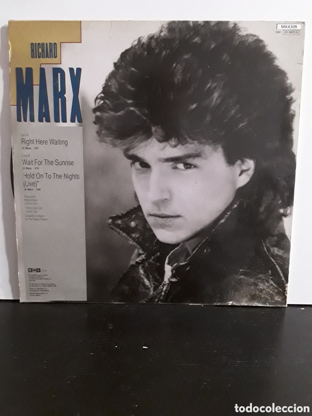 Discos de vinilo: Richard Marx &lrm;&ndash; Right Here Waiting - Foto 2