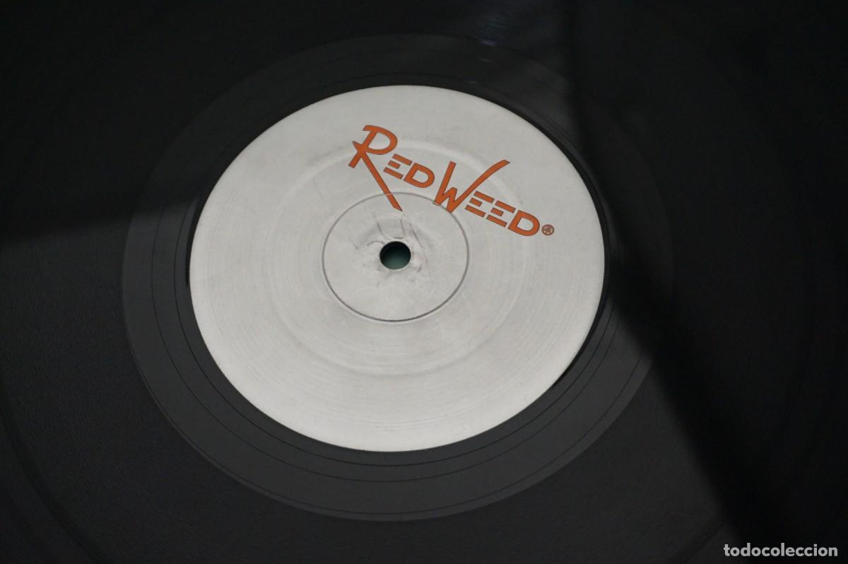 Discos de vinilo: The Ladder - Meltdown E.P (12&rdquo;, EP) -. VINILO EN ESTADO EXCELENTE - Foto 4