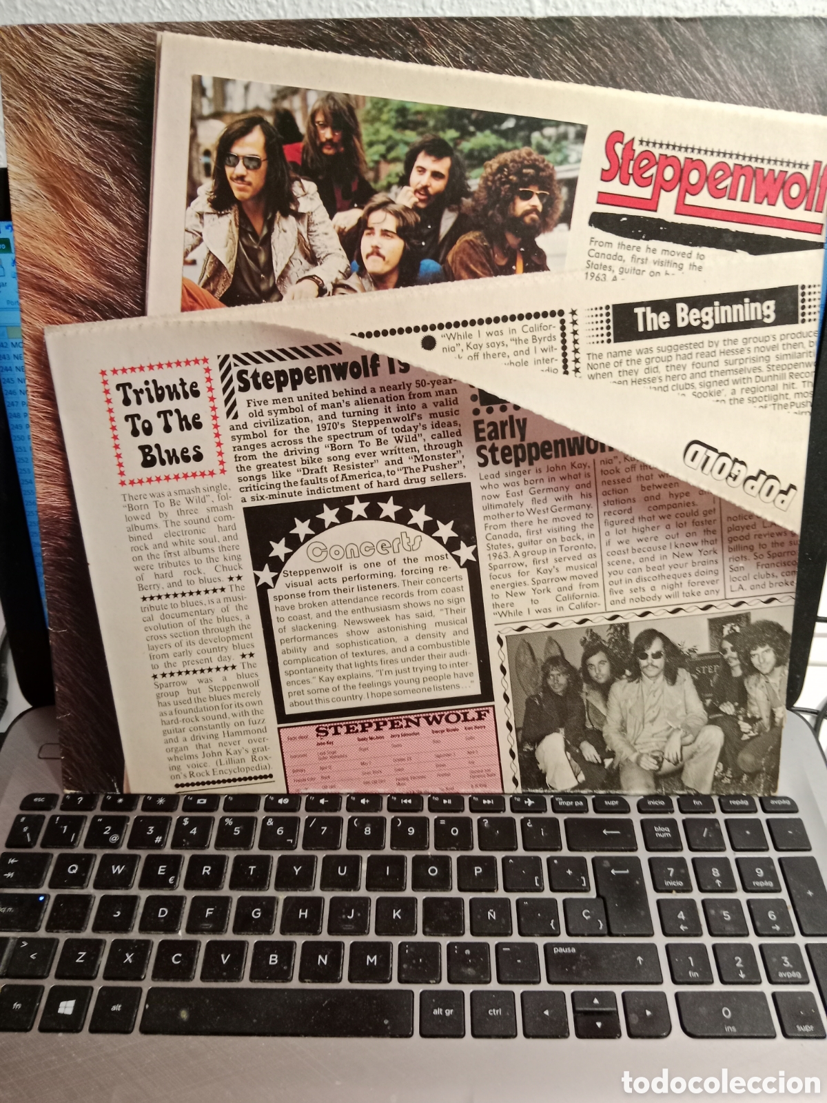Discos de vinilo: Steppenwolf - Pop gold (Alemania 1979) - Foto 1