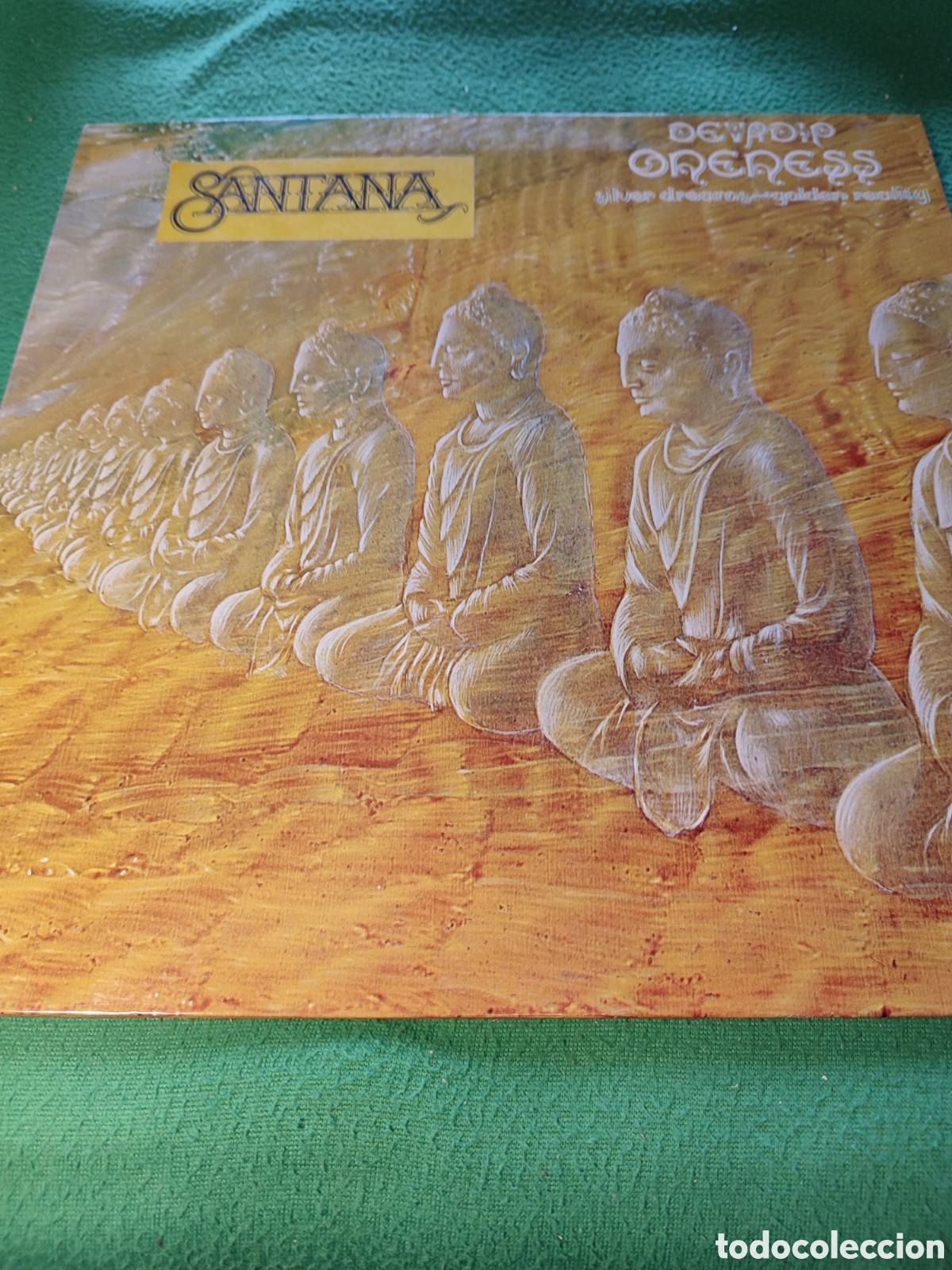 Discos de vinilo: Devadip - Oneness Vinilo Lp - Foto 1