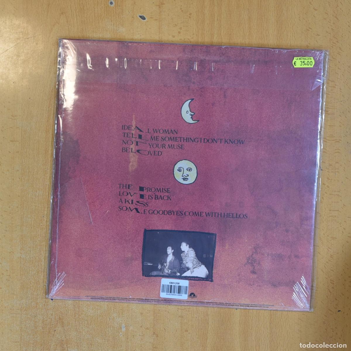 Discos de vinilo: CELESTE - NOT YOUR MUSE - LP - Foto 2
