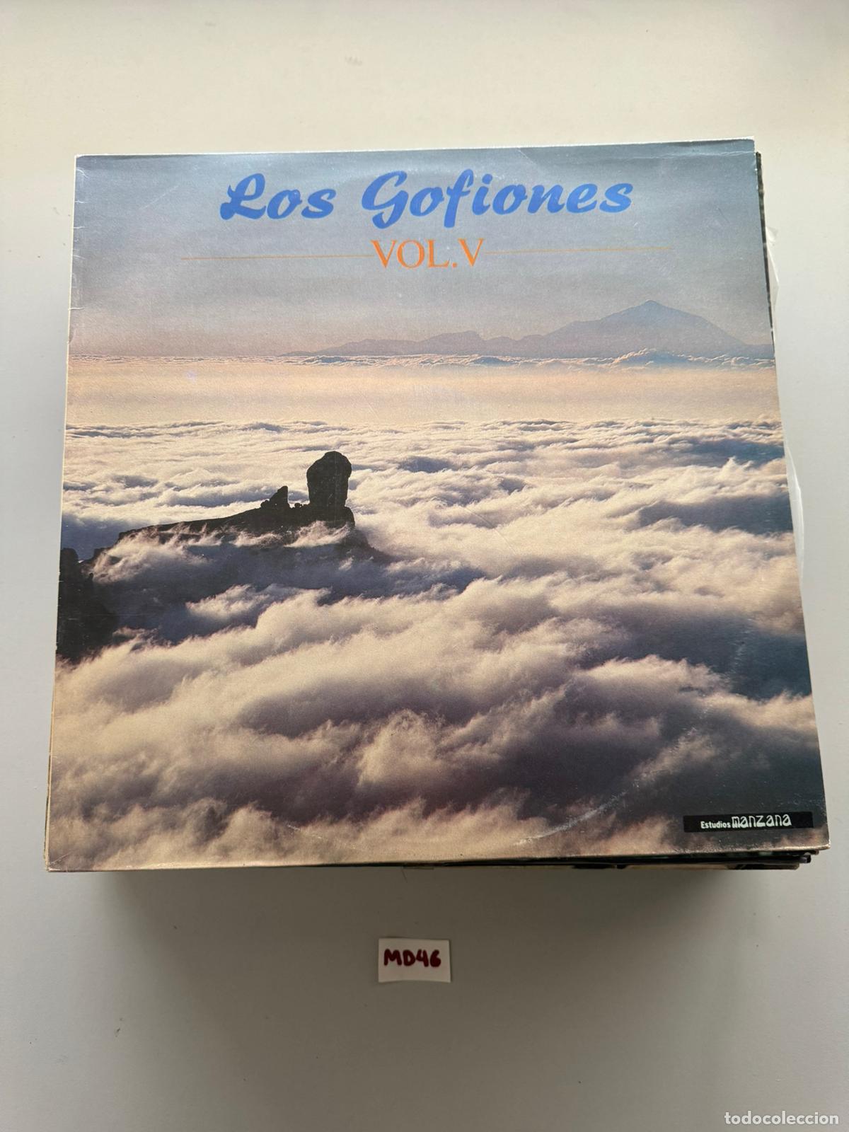 Discos de vinilo: Los Gofiones - Foto 1