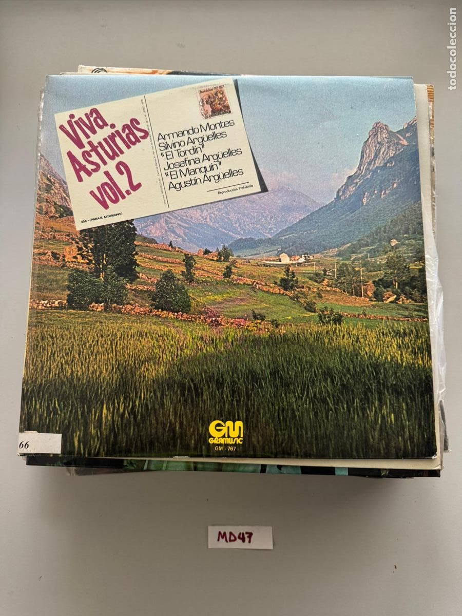 Discos de vinilo: Viva Asturias - Foto 1