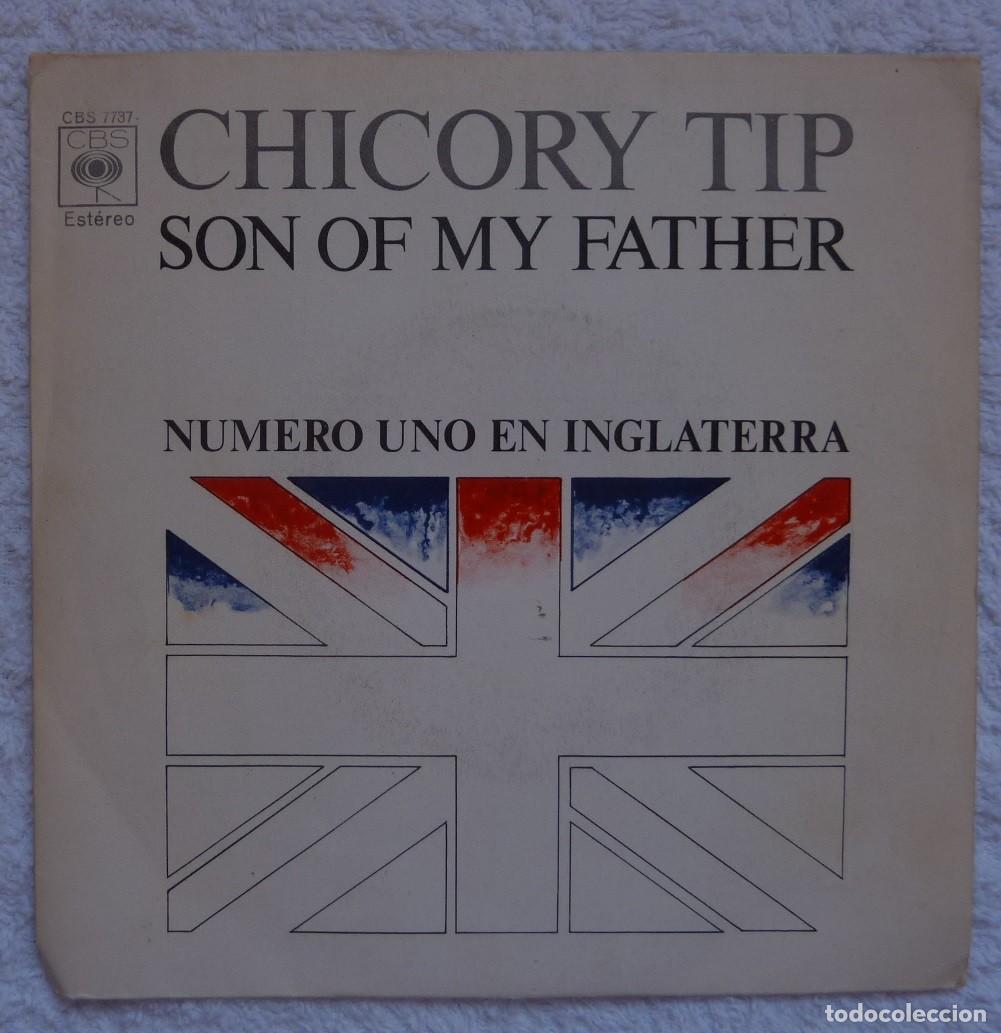 Discos de vinilo: CHICORY TIP // HIJO DE MI PADRE // 1972 // SINGLE - Foto 1
