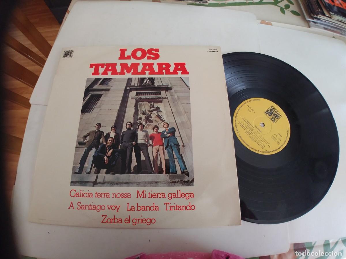 Discos de vinilo: LOS TAMARA-LP 1976-CAUDAL - Foto 1