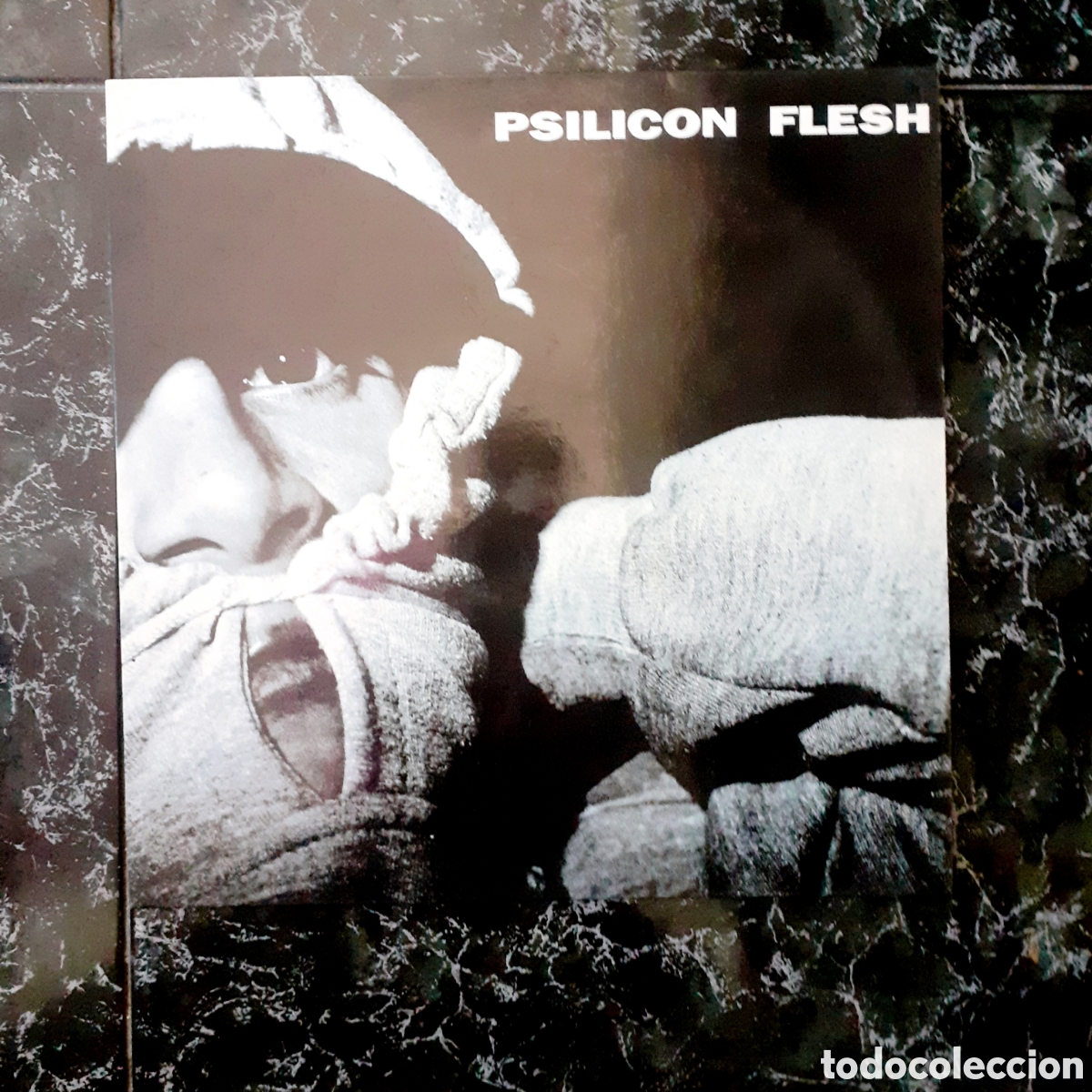 Discos de vinilo: PSILICON FLESH . 1993 . Vinilo . - Foto 1