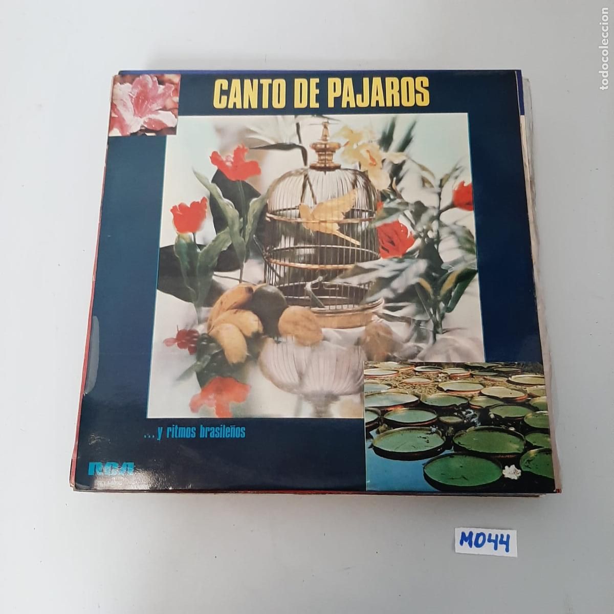 Discos de vinilo: Canto de p&aacute;jaros - Foto 1