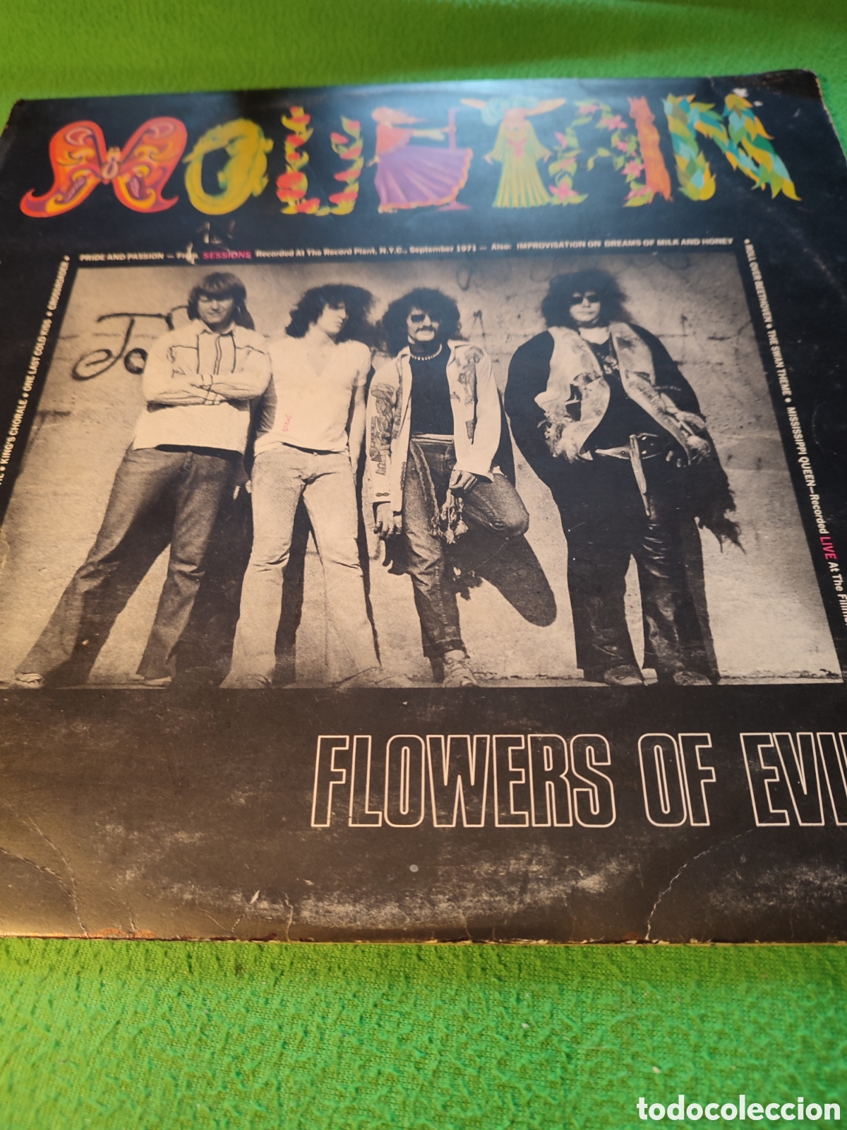Discos de vinilo: Mountain - Flowers of Evil - Foto 1