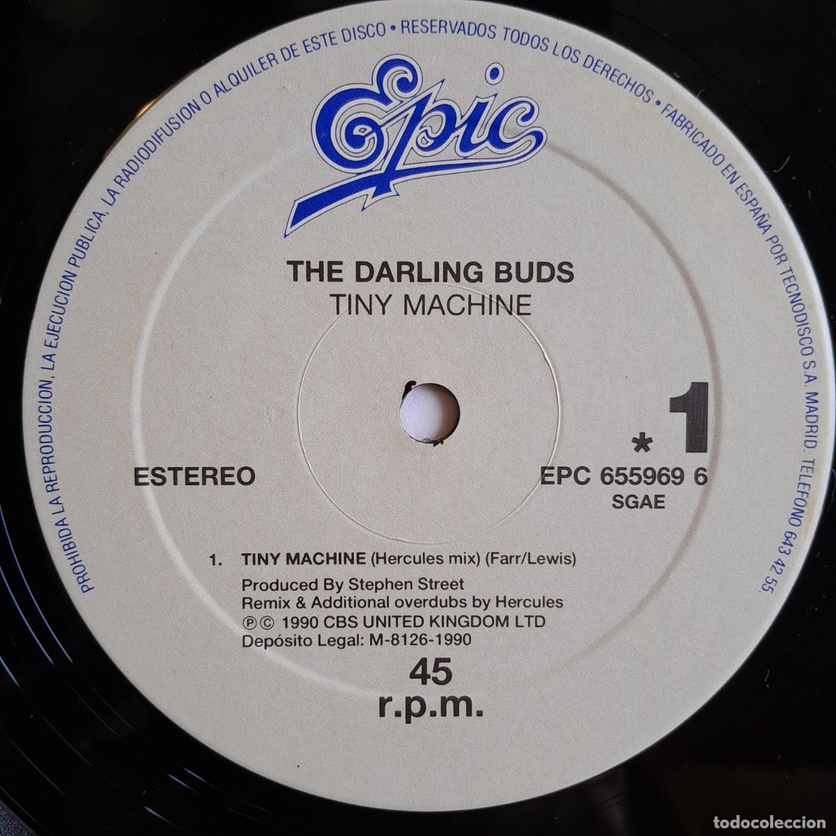Discos de vinilo: THE DARLING BUDS : TINY MACHINE [EPIC - ESP 1990] 12&rdquo; - Foto 3