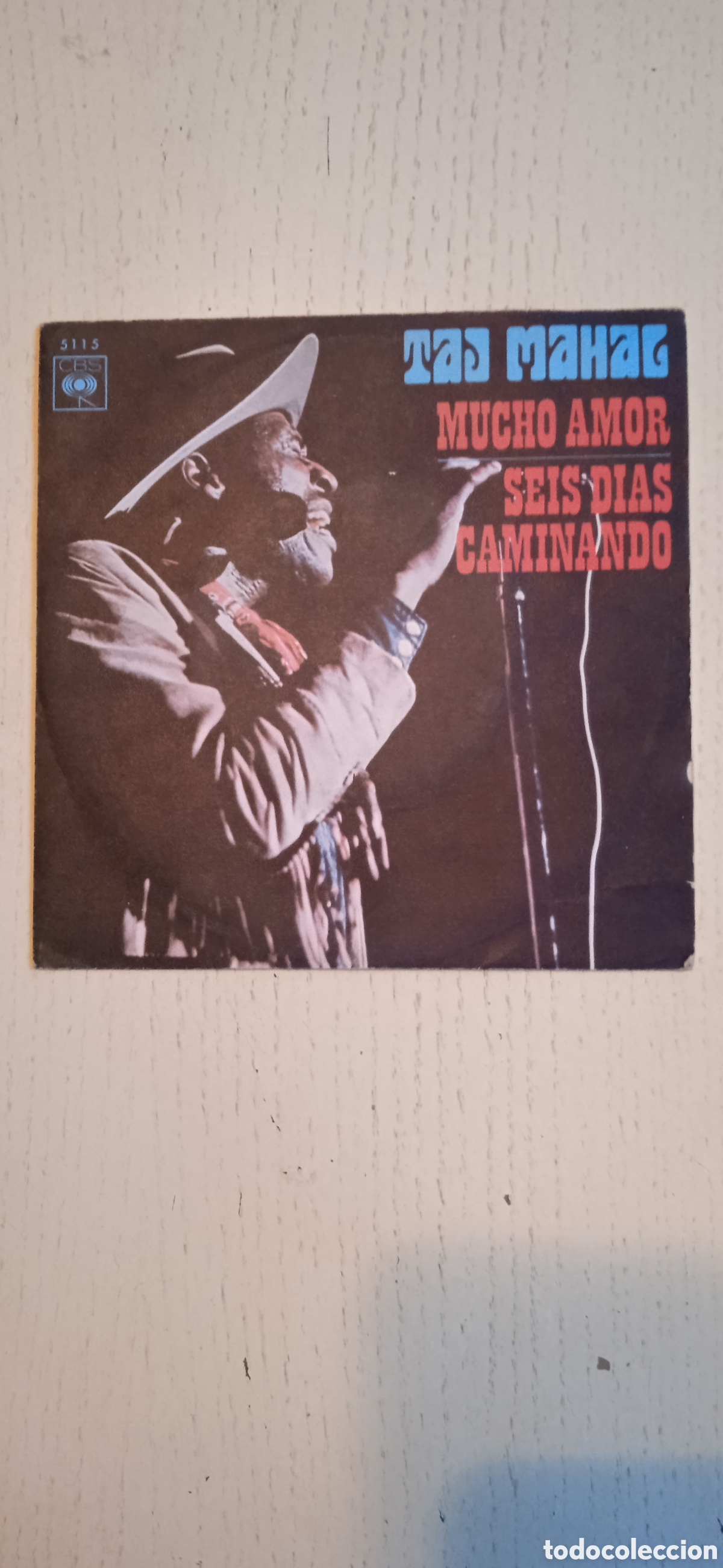 Discos de vinilo: Single Taj Mahal - Foto 1