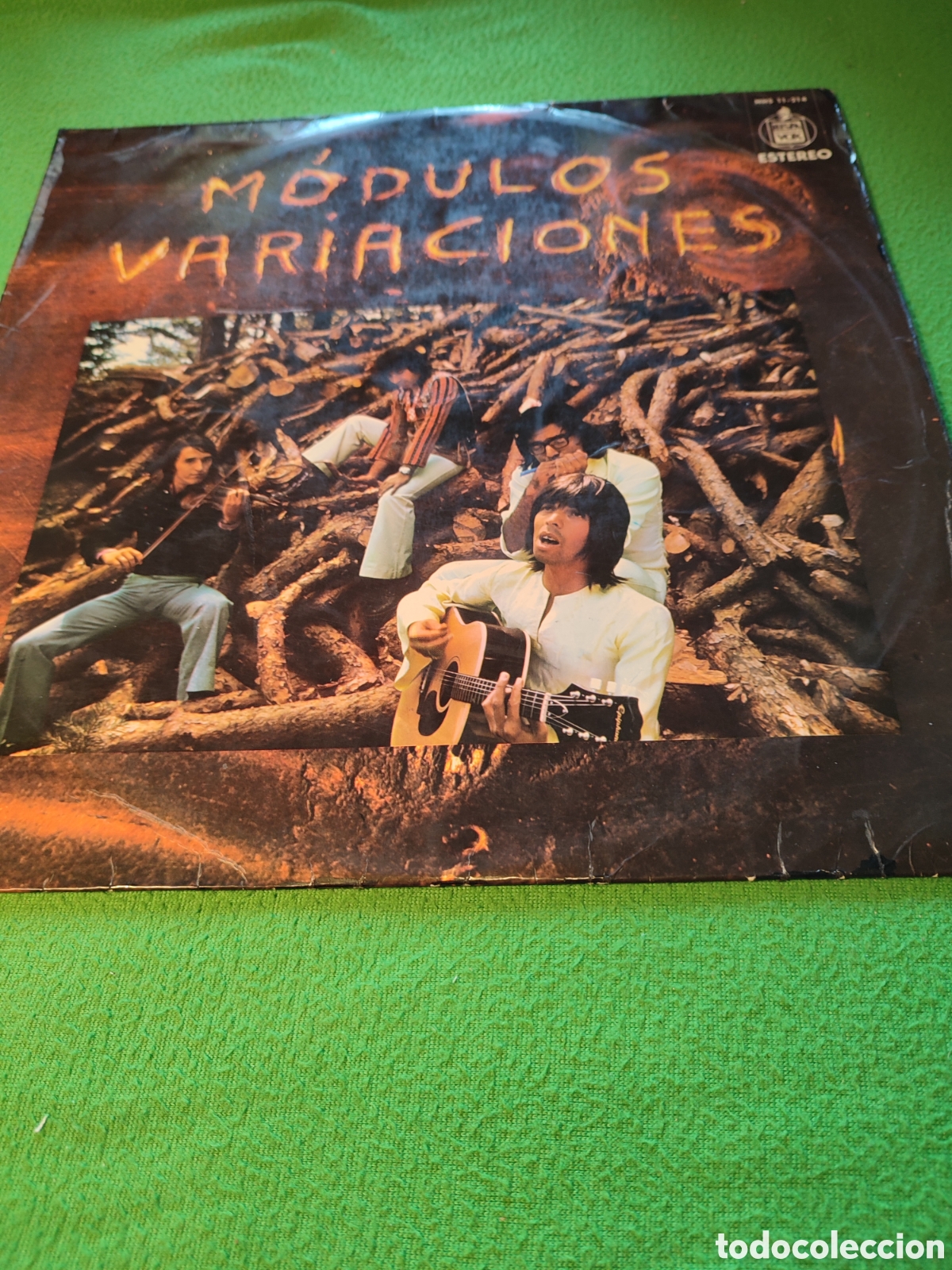 Discos de vinilo: M&oacute;dulos - Variaciones - Foto 1