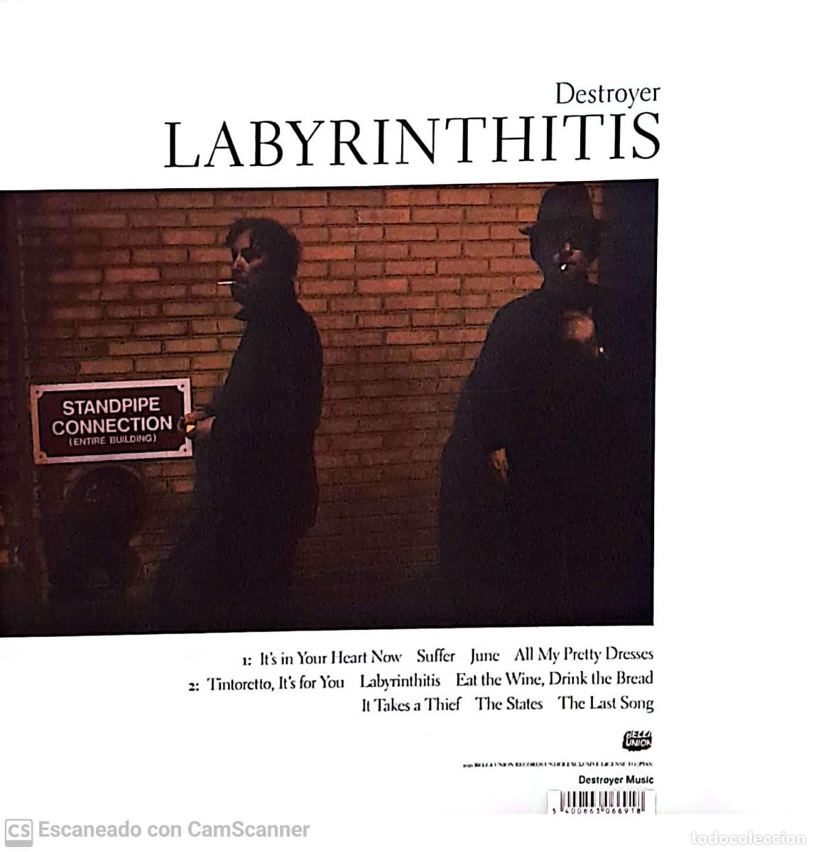 Discos de vinilo: Destroyer &lrm;&ndash; Labyrinthitis - Foto 2