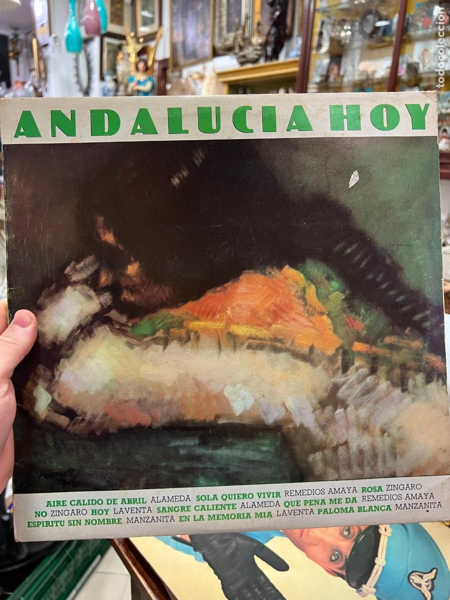 Disques de vinyle: LP ANDALUCIA HOY