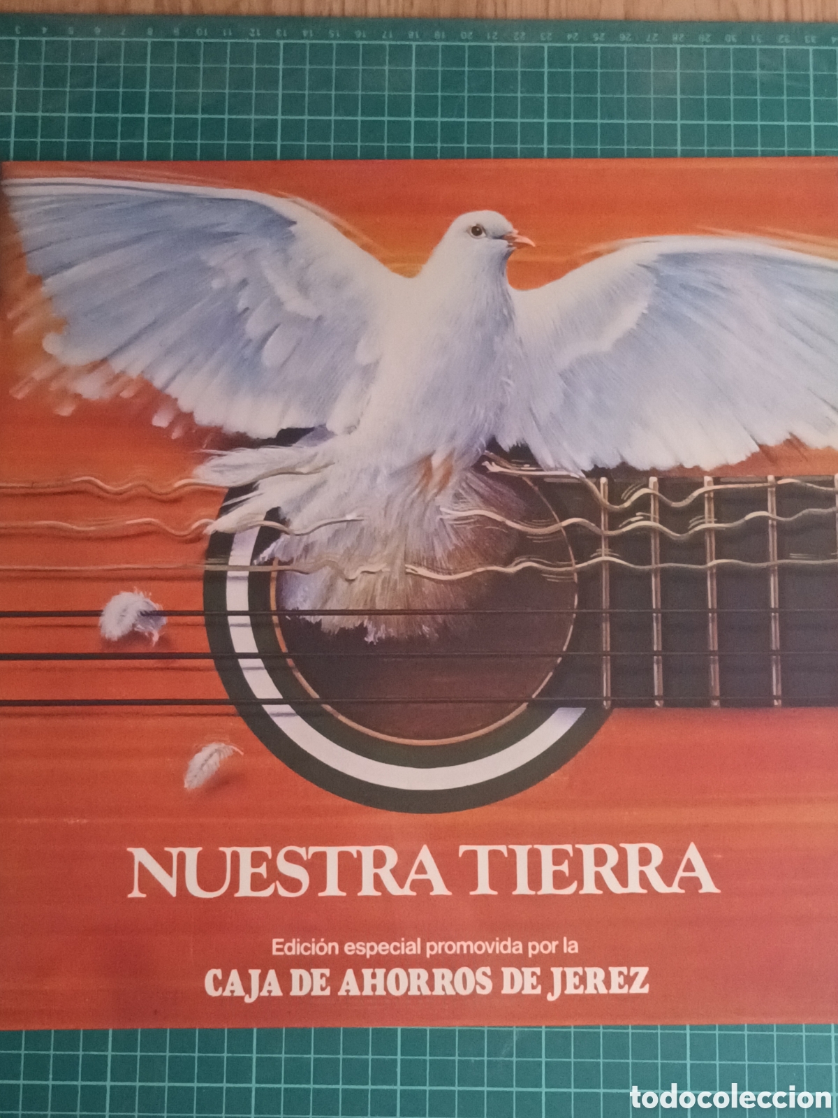 Discos de vinilo: Nuestra tierra - Foto 1