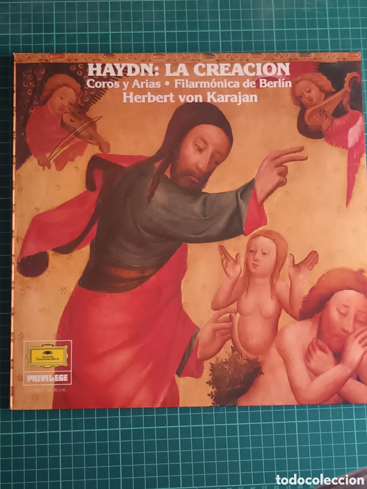 Discos de vinilo: Hayn la creaci&oacute;n - Foto 1