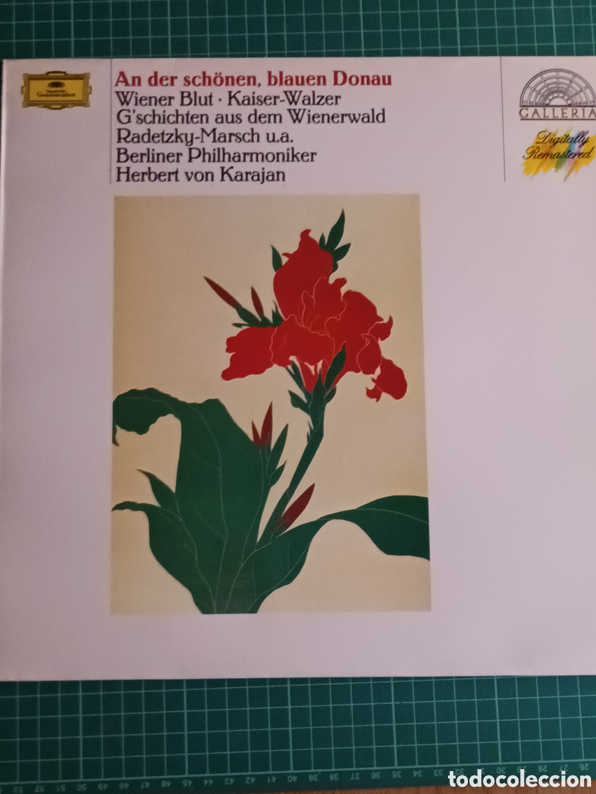 Disques de vinyle: A der schonen