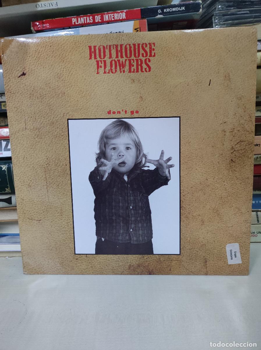 Discos de vinilo: Hothouse Flowers &ndash; Dont Go - Foto 1