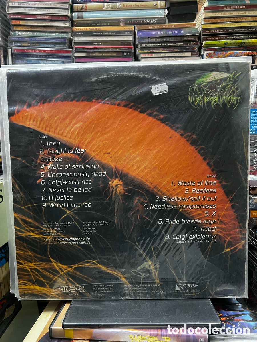 Discos de vinilo: Nyctophobic Insects - Foto 2