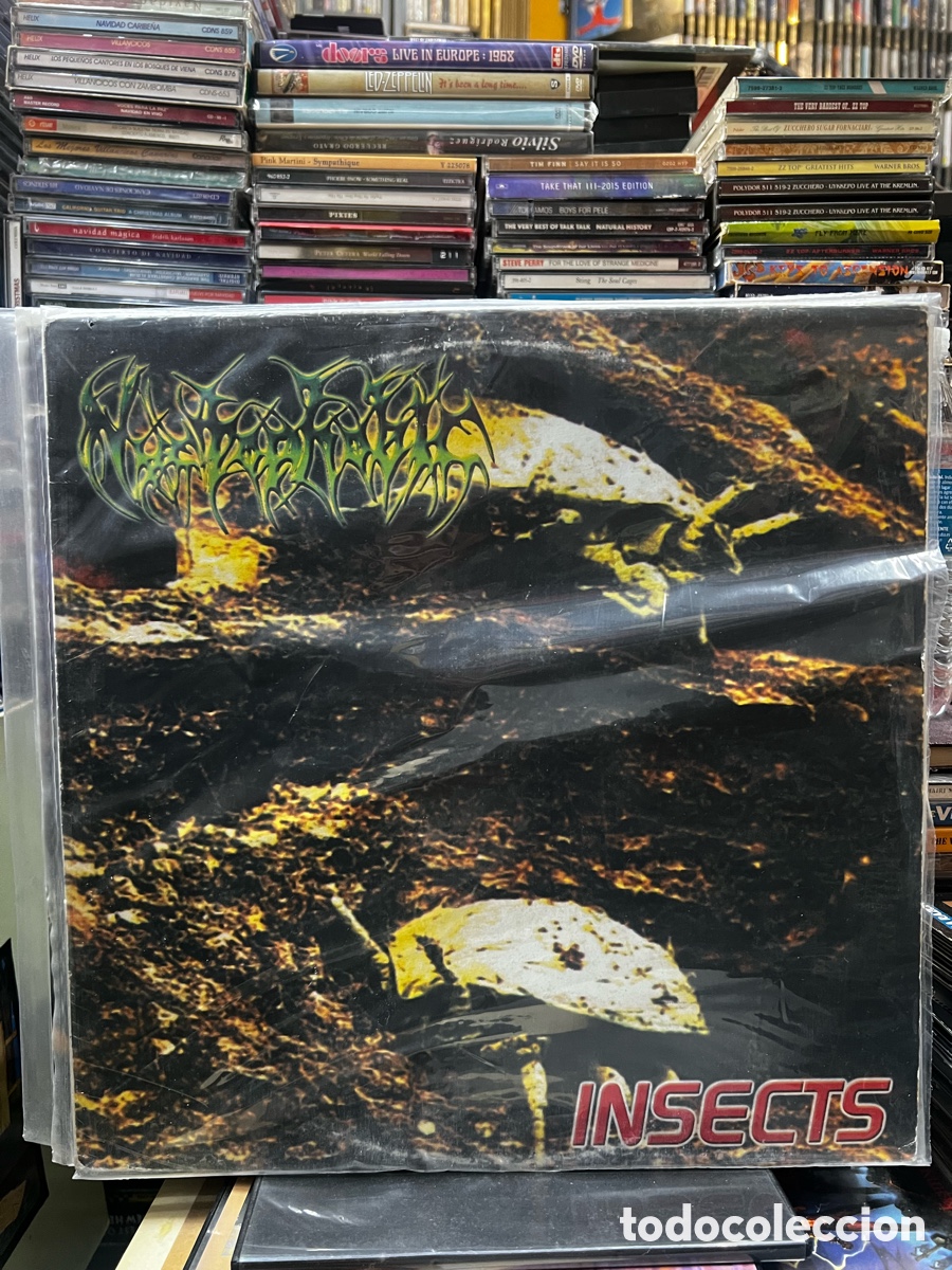 Discos de vinilo: Nyctophobic Insects - Foto 1