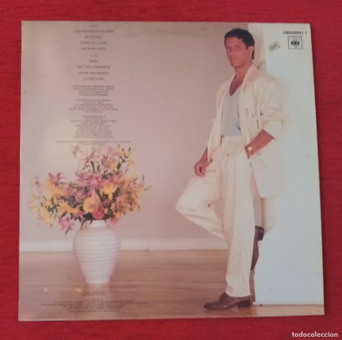 Discos de vinilo: GREGORY ABBOTT - SHAKE YOU DOWN - LP - Foto 2