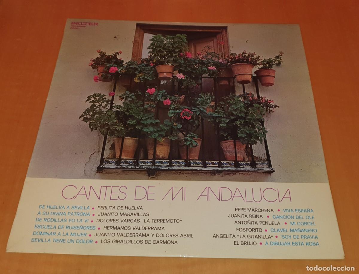 Disques de vinyle: Vinilo CANTES DE MI ANDALUCIA. Carpeta sencilla. Editado por Belter.