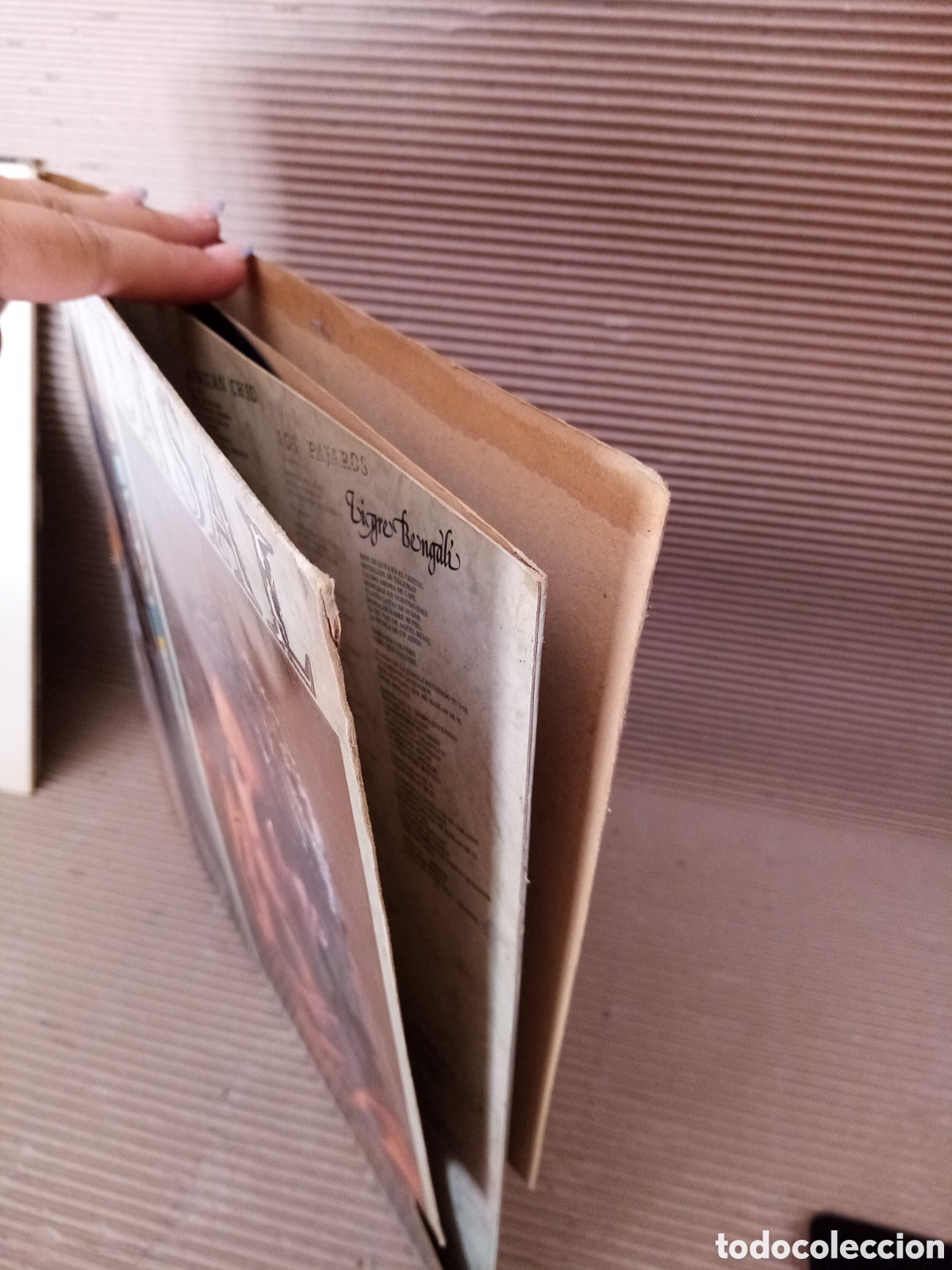 Discos de vinilo: Tigre Bengal&iacute;. Casal. Vinilo - Foto 4