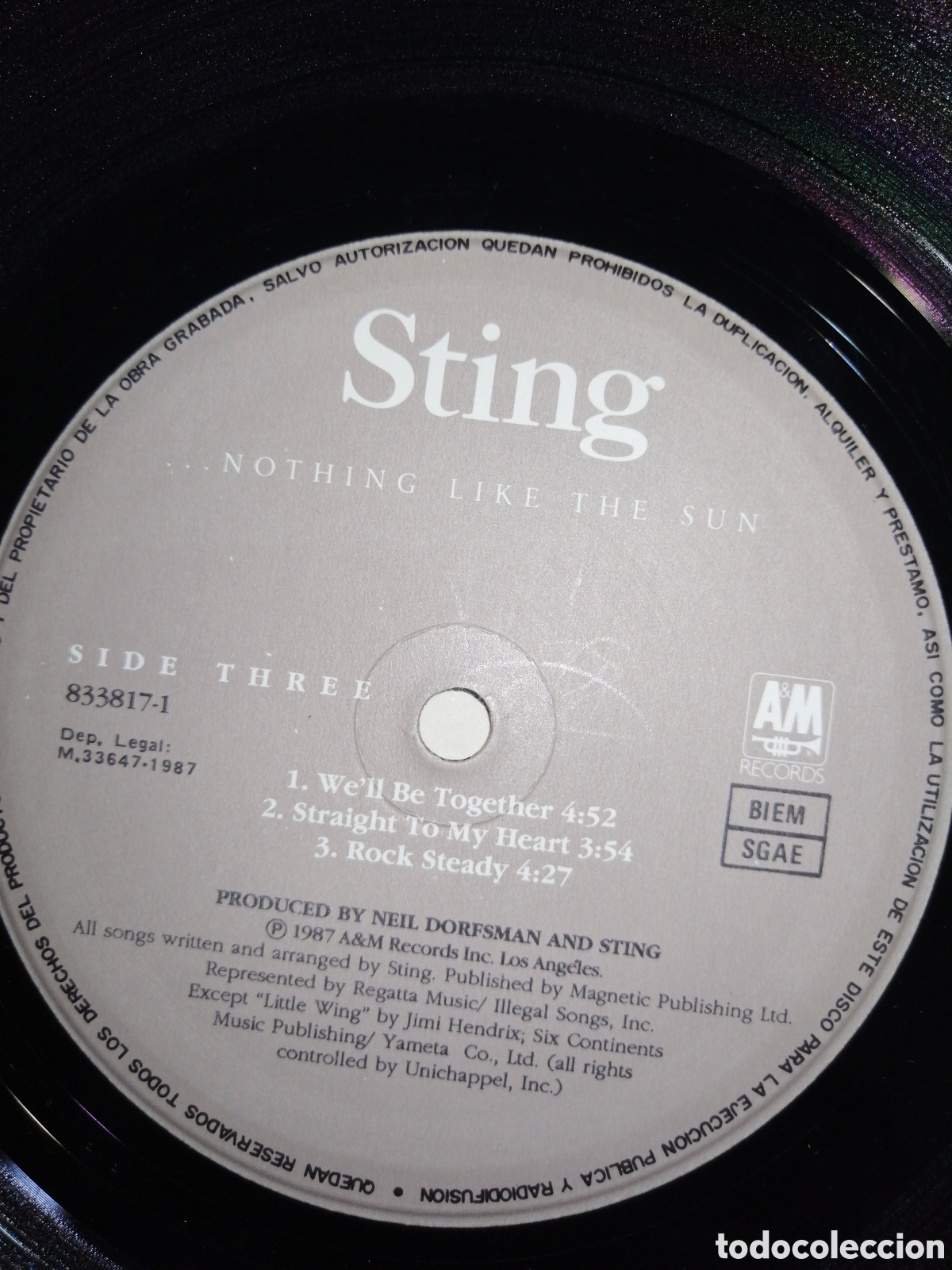 Discos de vinilo: STING... NOTHING LIKE THE SUN - Foto 9