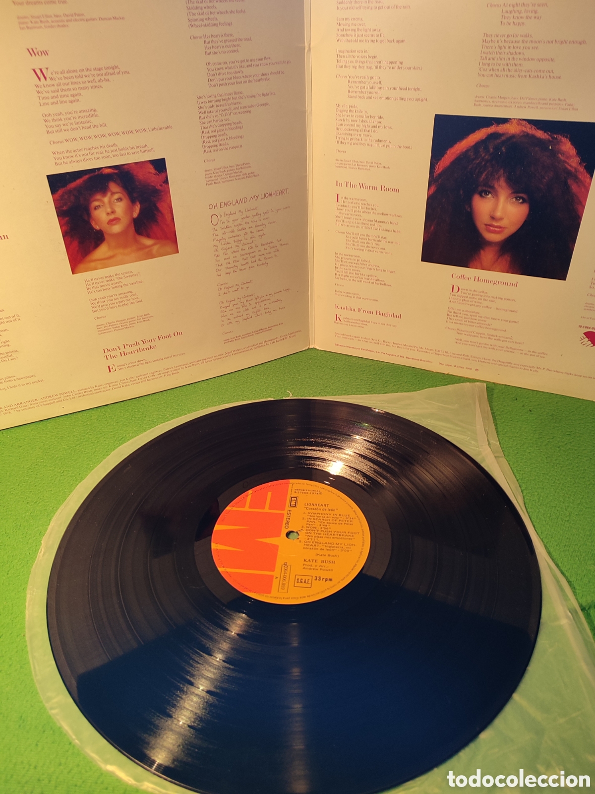 Discos de vinilo: Kate Bush - Coraz&oacute;n de le&oacute;n - Foto 2
