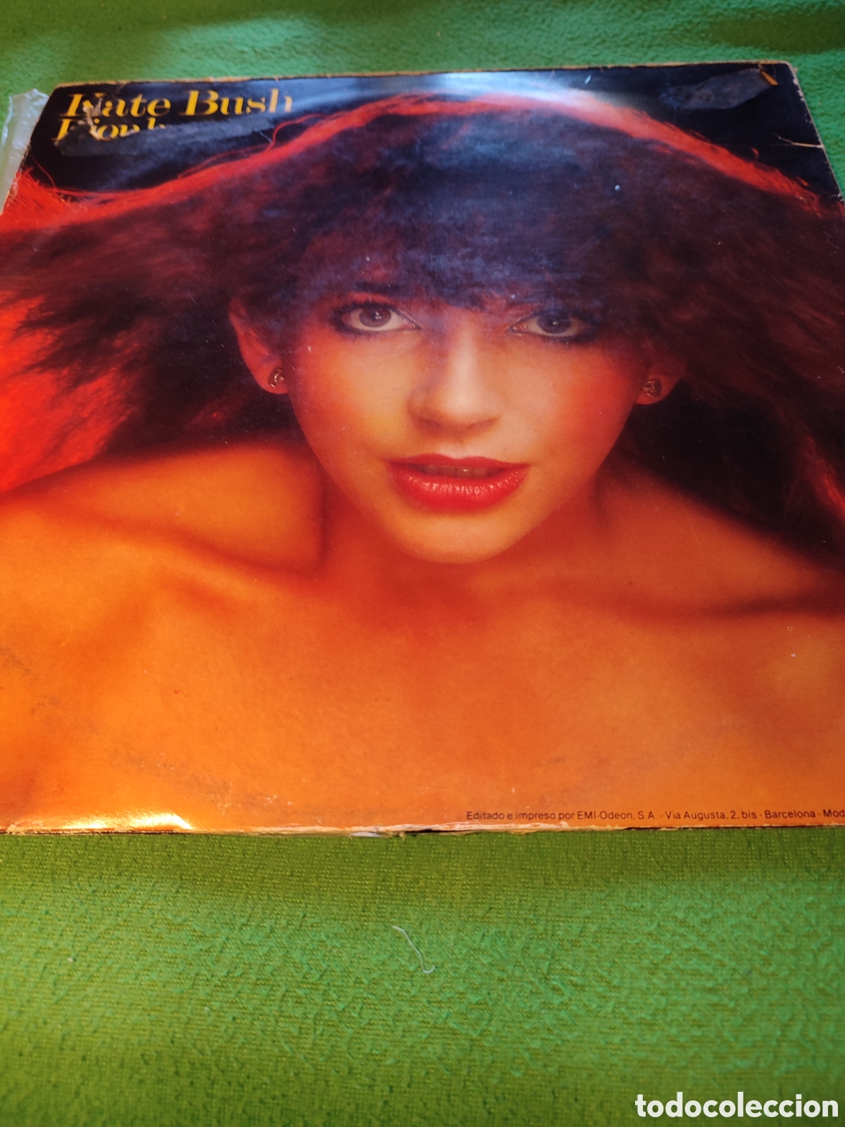 Discos de vinilo: Kate Bush - Coraz&oacute;n de le&oacute;n - Foto 4