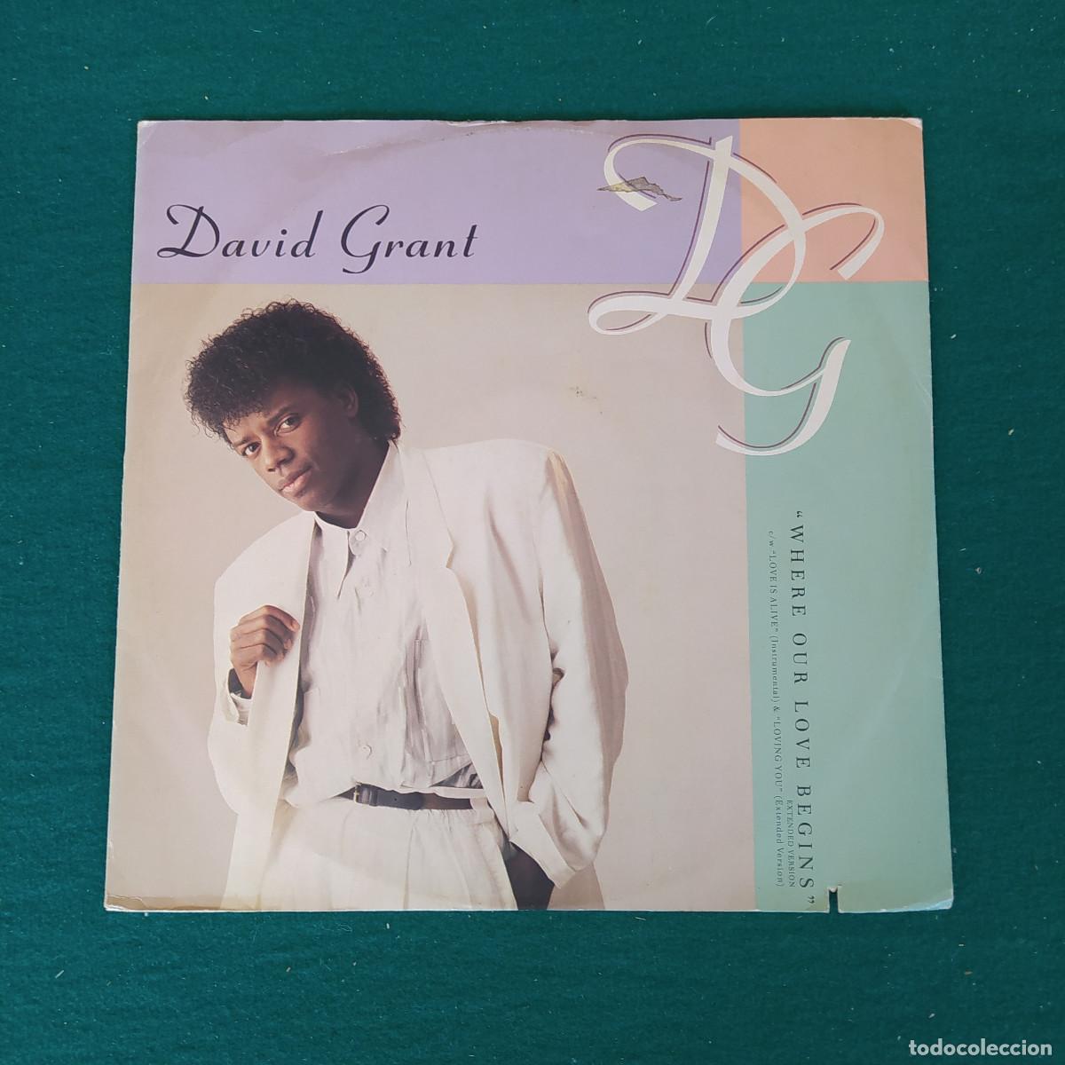 Discos de vinilo: David Grant &ndash; Where Our Love Begins - Foto 1
