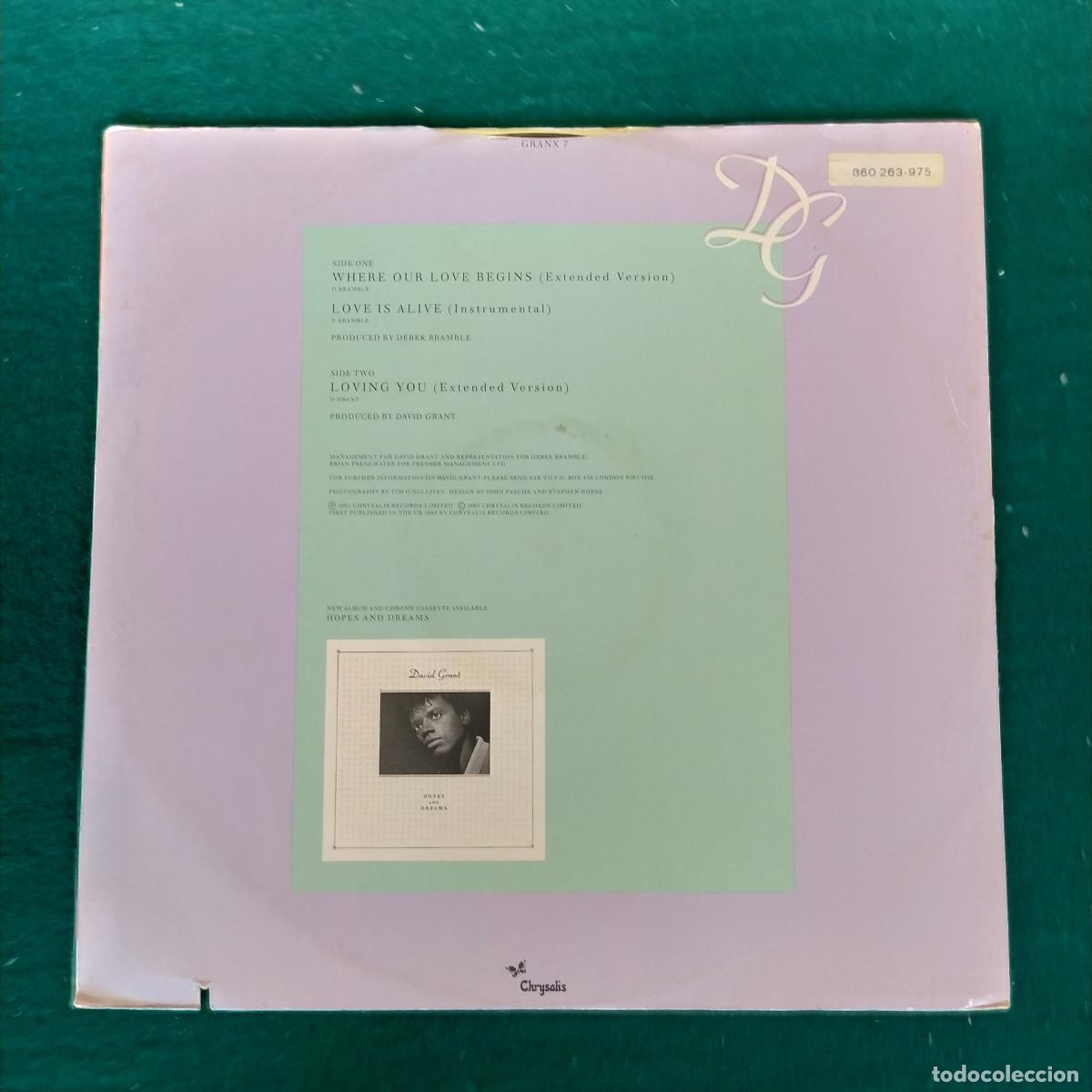 Discos de vinilo: David Grant &ndash; Where Our Love Begins - Foto 2
