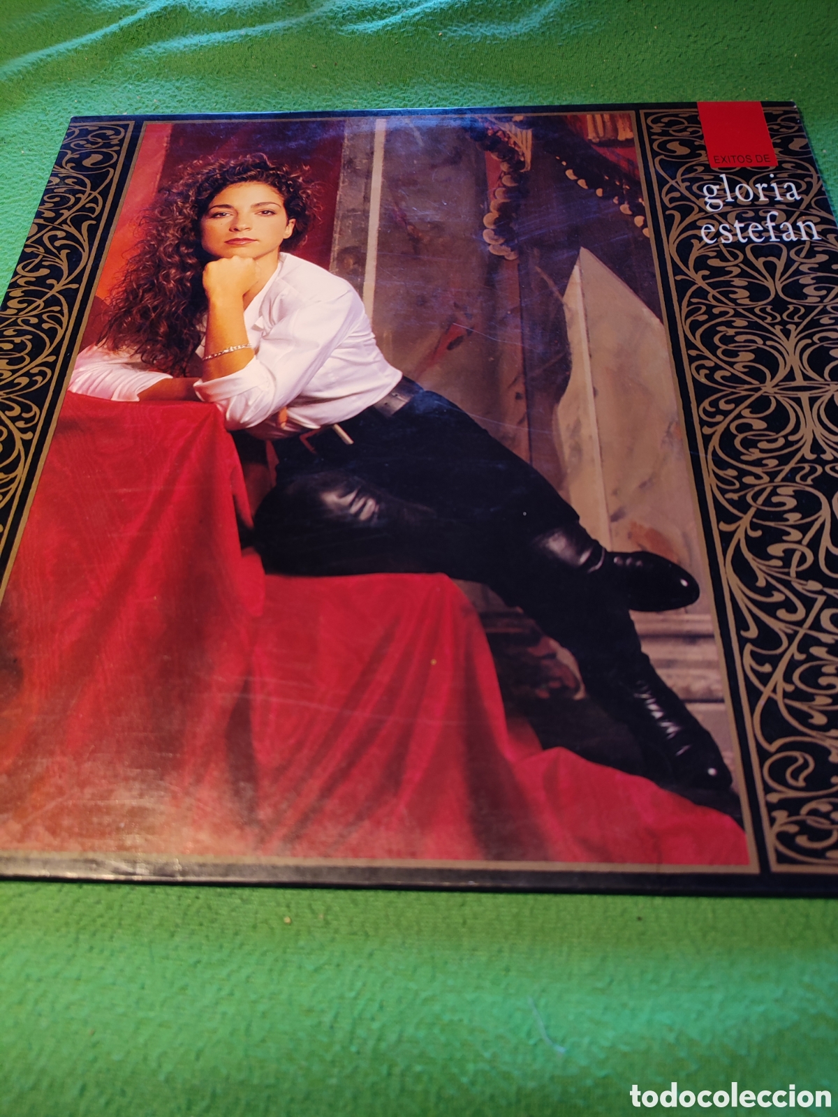 Discos de vinilo: Gloria Estefan - &Eacute;xitos de... - Foto 1