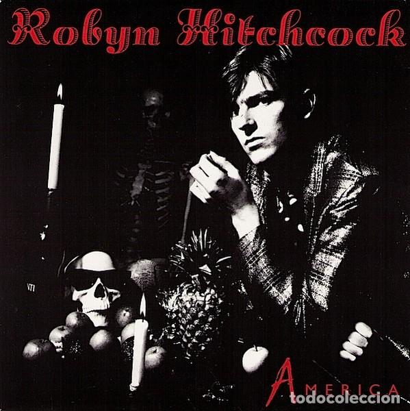 Discos de vinilo: Robyn Hitchcock &ndash; America - Foto 1
