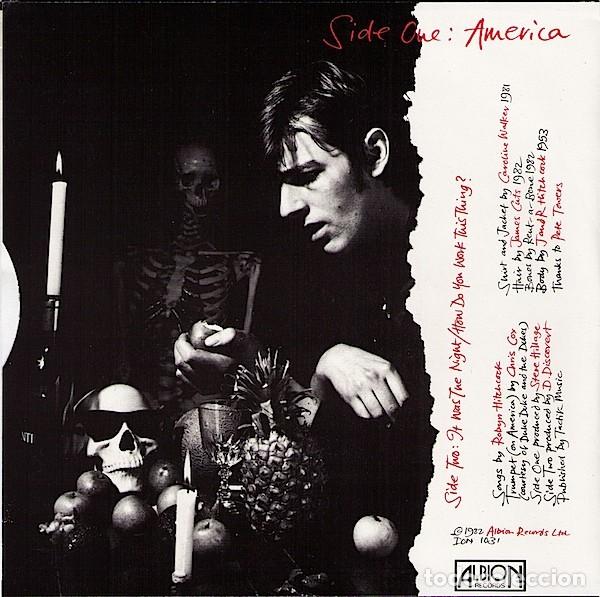Discos de vinilo: Robyn Hitchcock &ndash; America - Foto 2