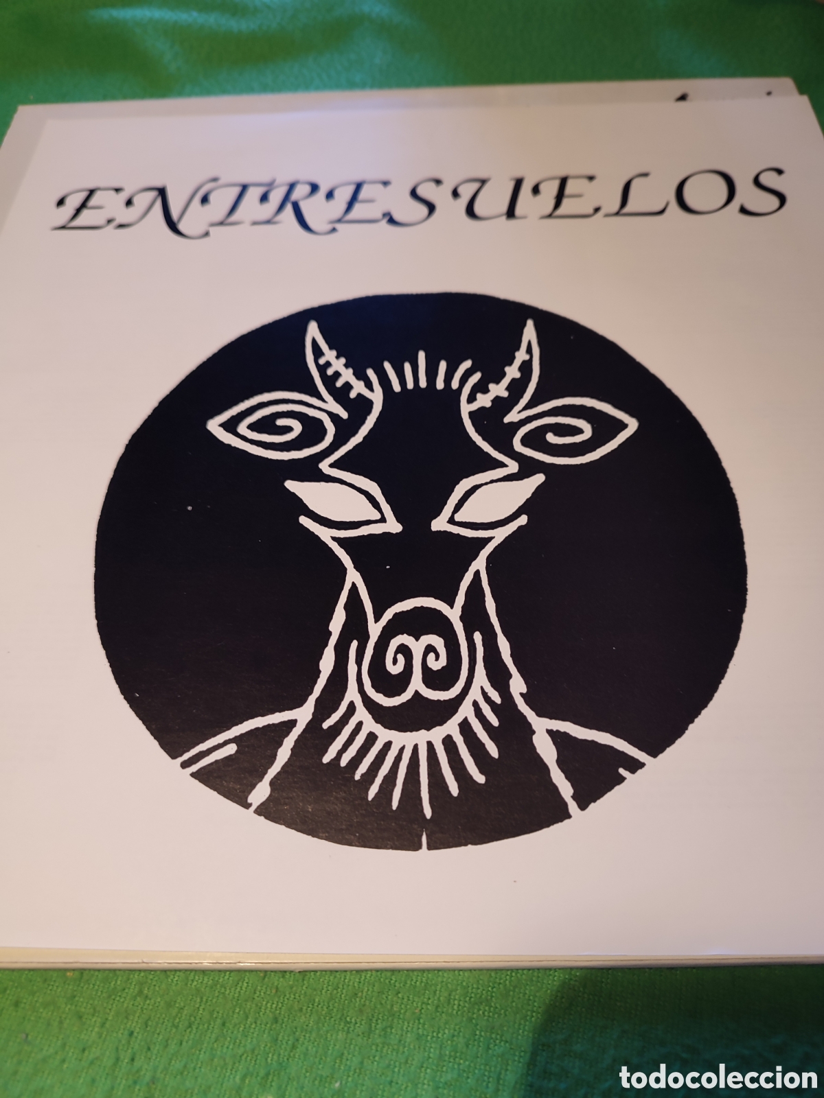 Discos de vinilo: Entresuelos - Same Vinilo Lp - Foto 2