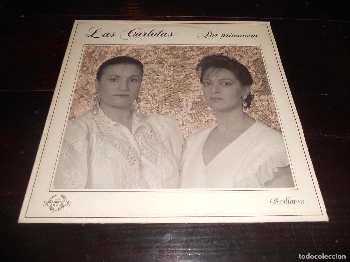 Discos de vinilo: Colecci&oacute;n de discos de vinilo. - Foto 14
