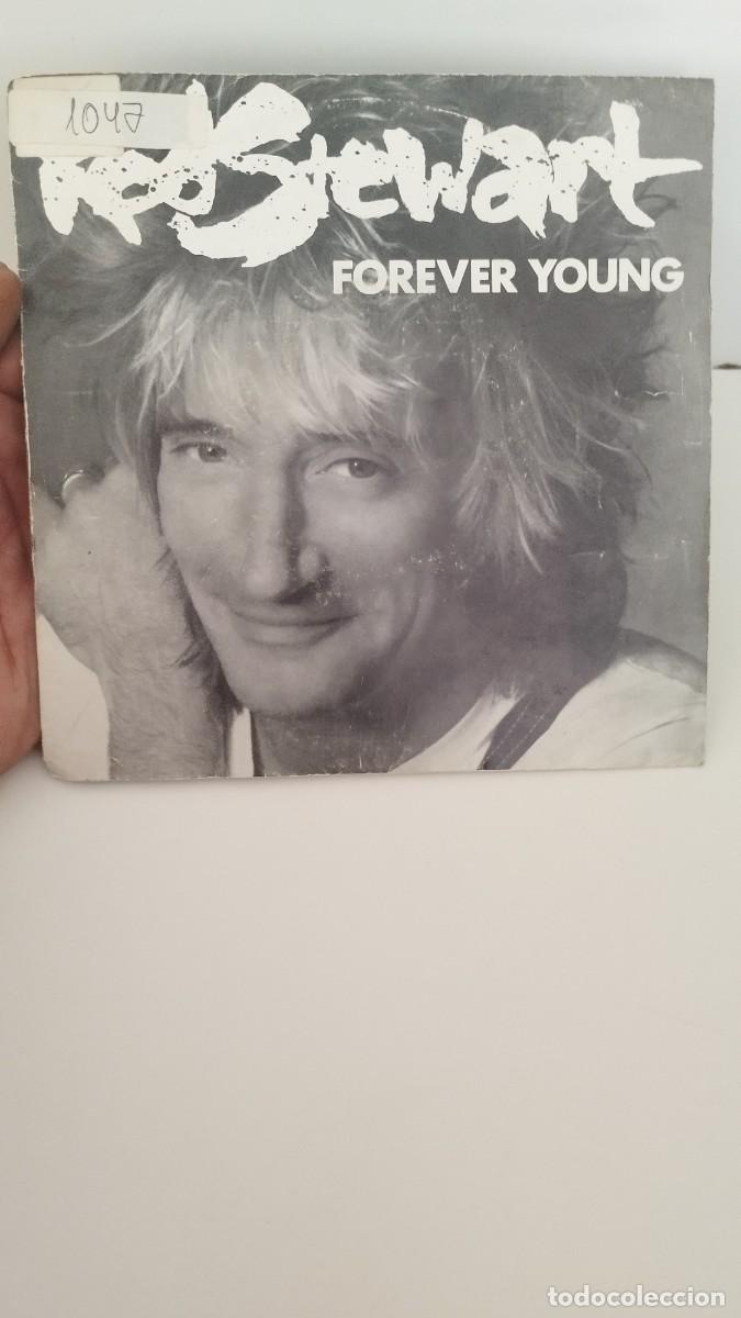 Discos de vinilo: Rod Stewart &ndash; Forever Young.Single 7&rdquo; - Foto 1