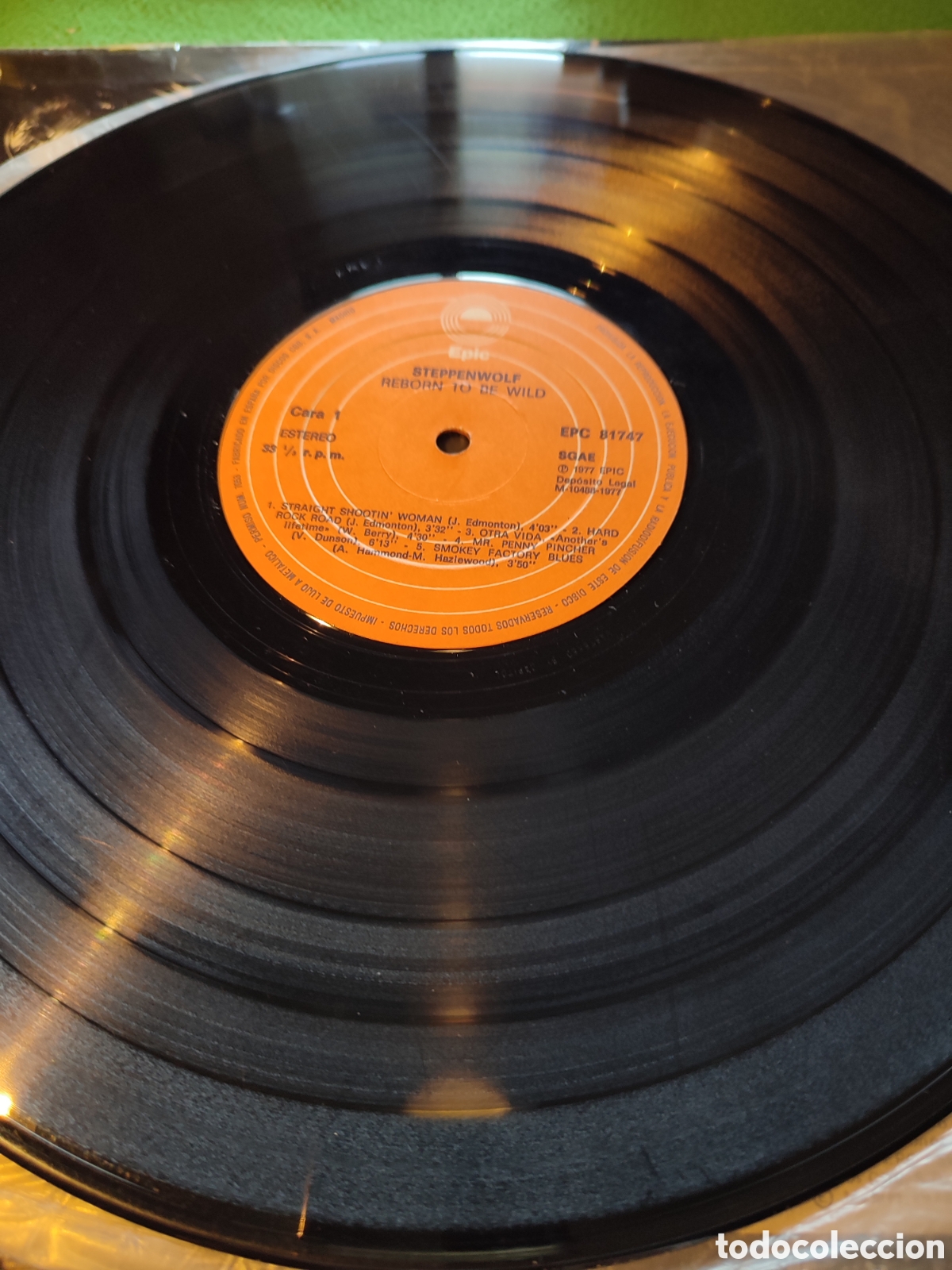 Discos de vinilo: Steppenwolf - Reborn to be Wild - Foto 3