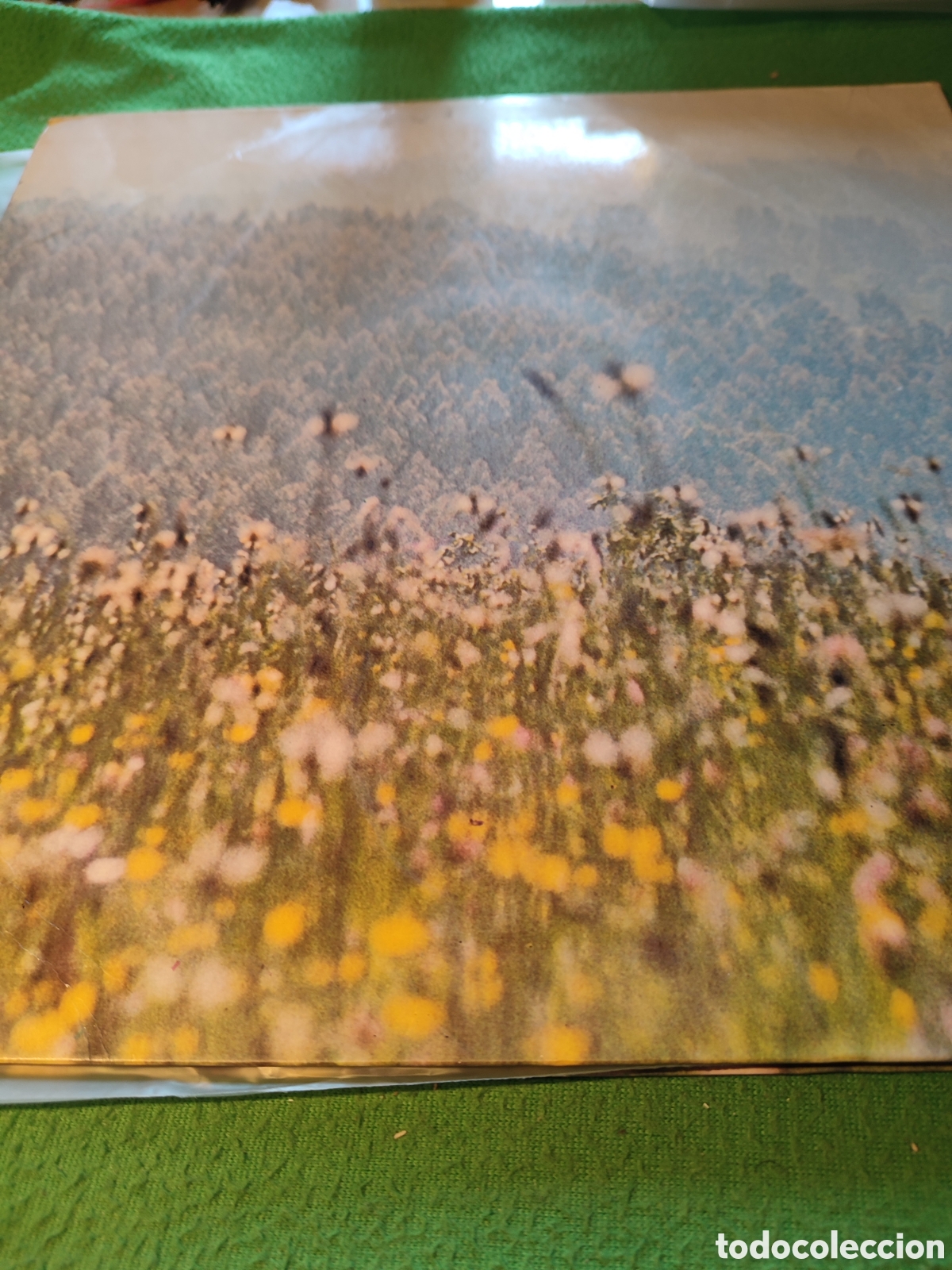 Discos de vinilo: Neocantes - Neocantes Vinilo Lp - Foto 3