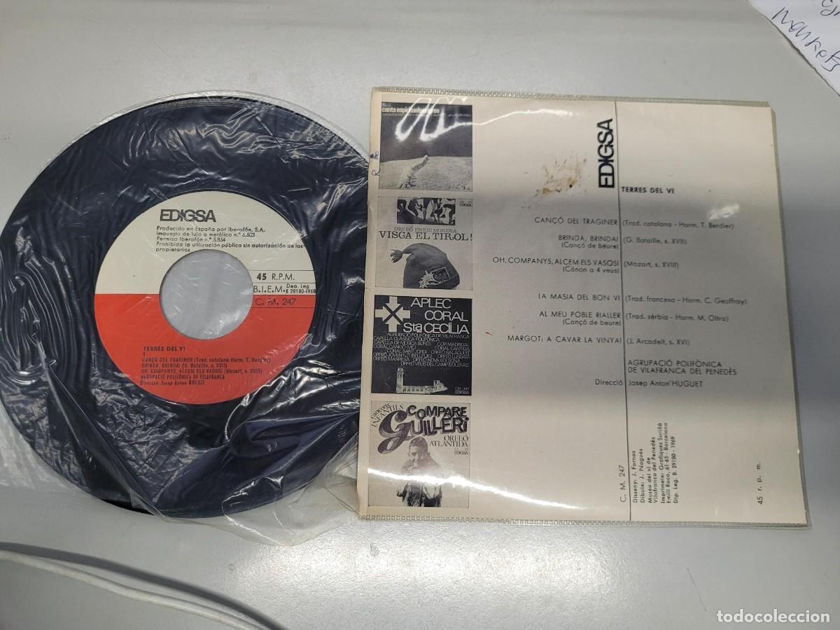 Discos de vinilo: TERRES DE VI VINILO SINGLE ANTIGUO - Foto 2