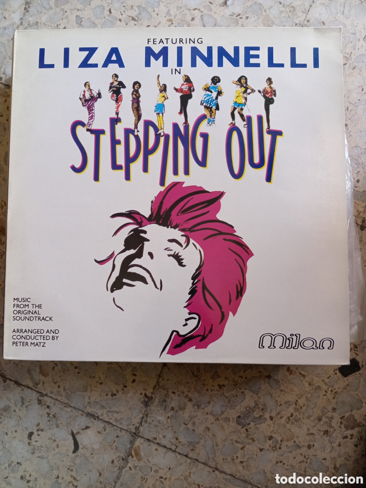 Discos de vinilo: LP LIZA MINNELLI STEPPING OUT BSO - Foto 1