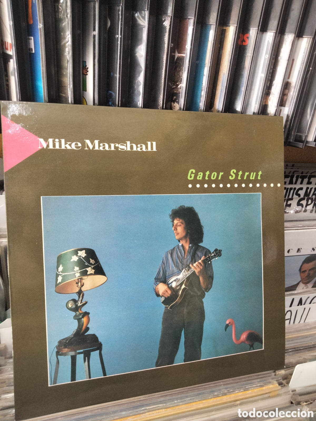Discos de vinilo: Mike Marshall gator strut - Foto 1