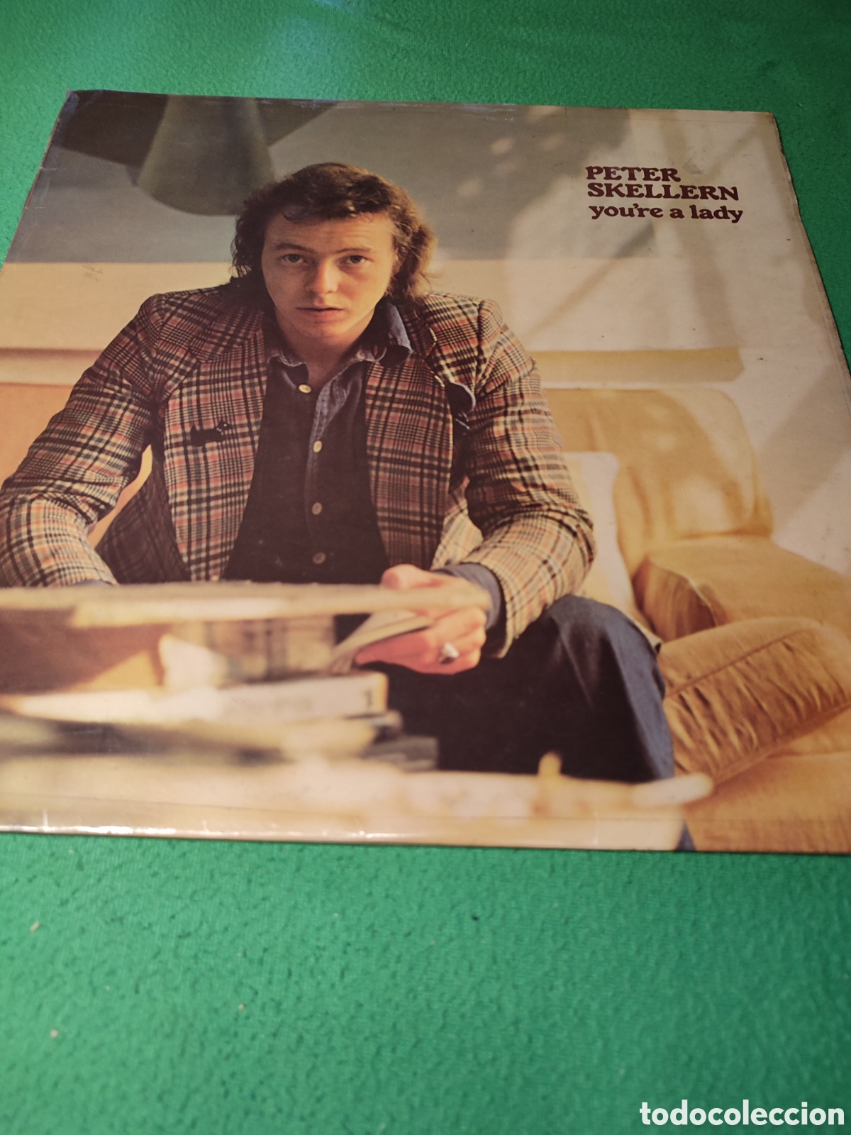 Discos de vinilo: Peter Skellern - Youre a lady - Foto 1