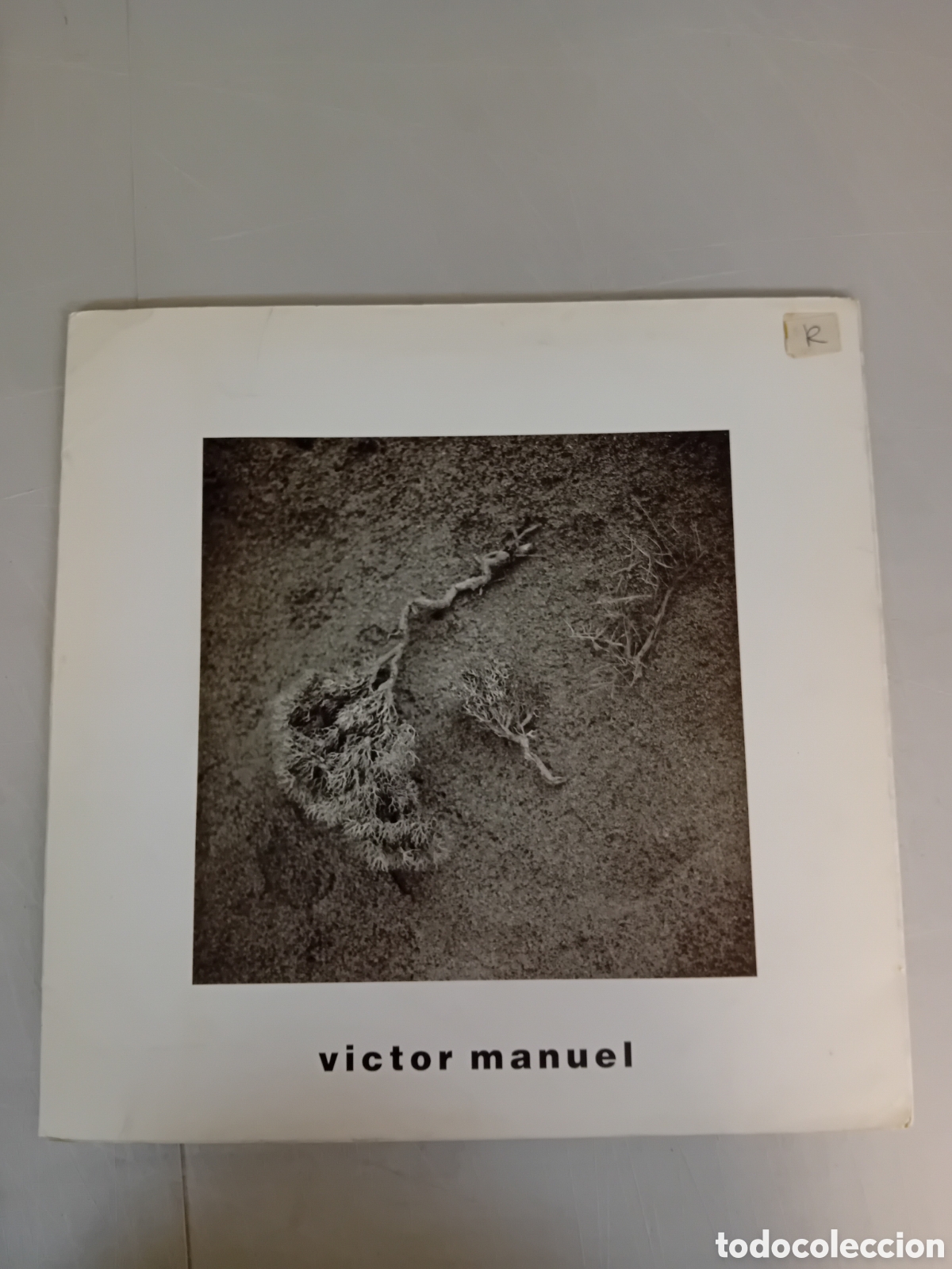 Discos de vinilo: V&Iacute;CTOR MANUEL. QU&Eacute; TE PUEDO DAR - Foto 1