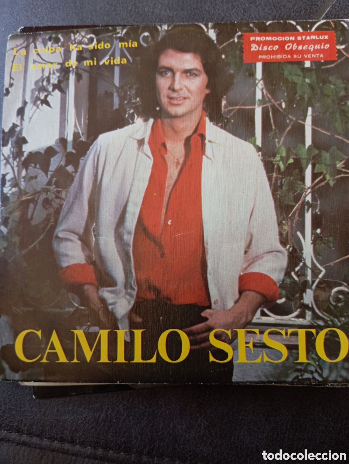 Dischi in vinile: Camilo Sesto.la culpa ha sido mía.Single
