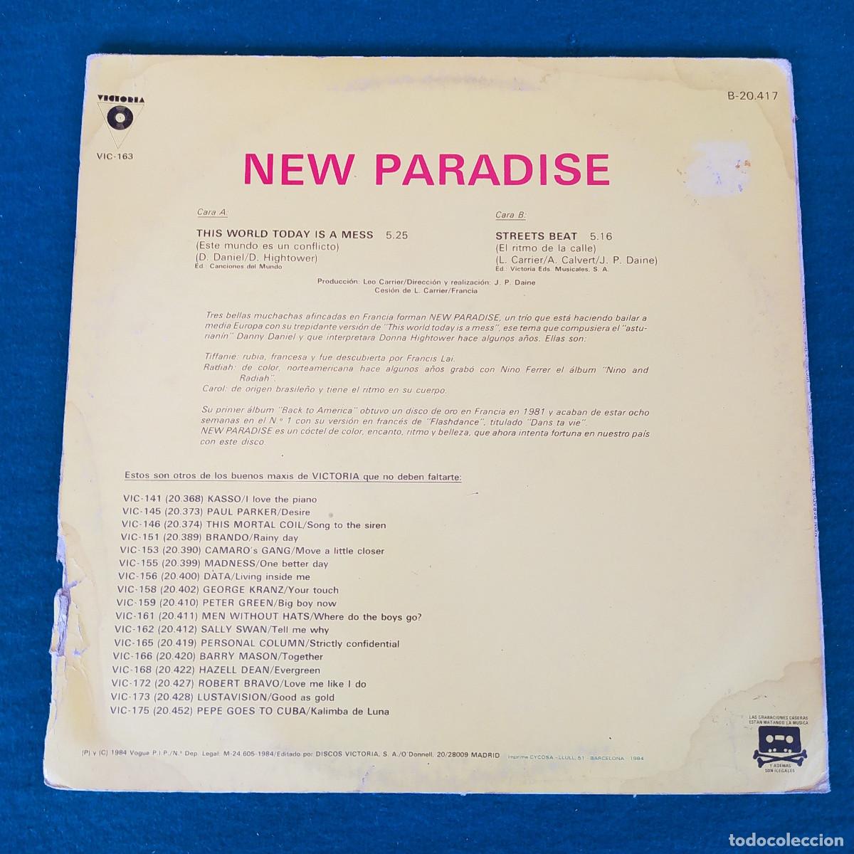 Discos de vinilo: New Paradise &ndash; This World Today Is A Mess - Foto 2