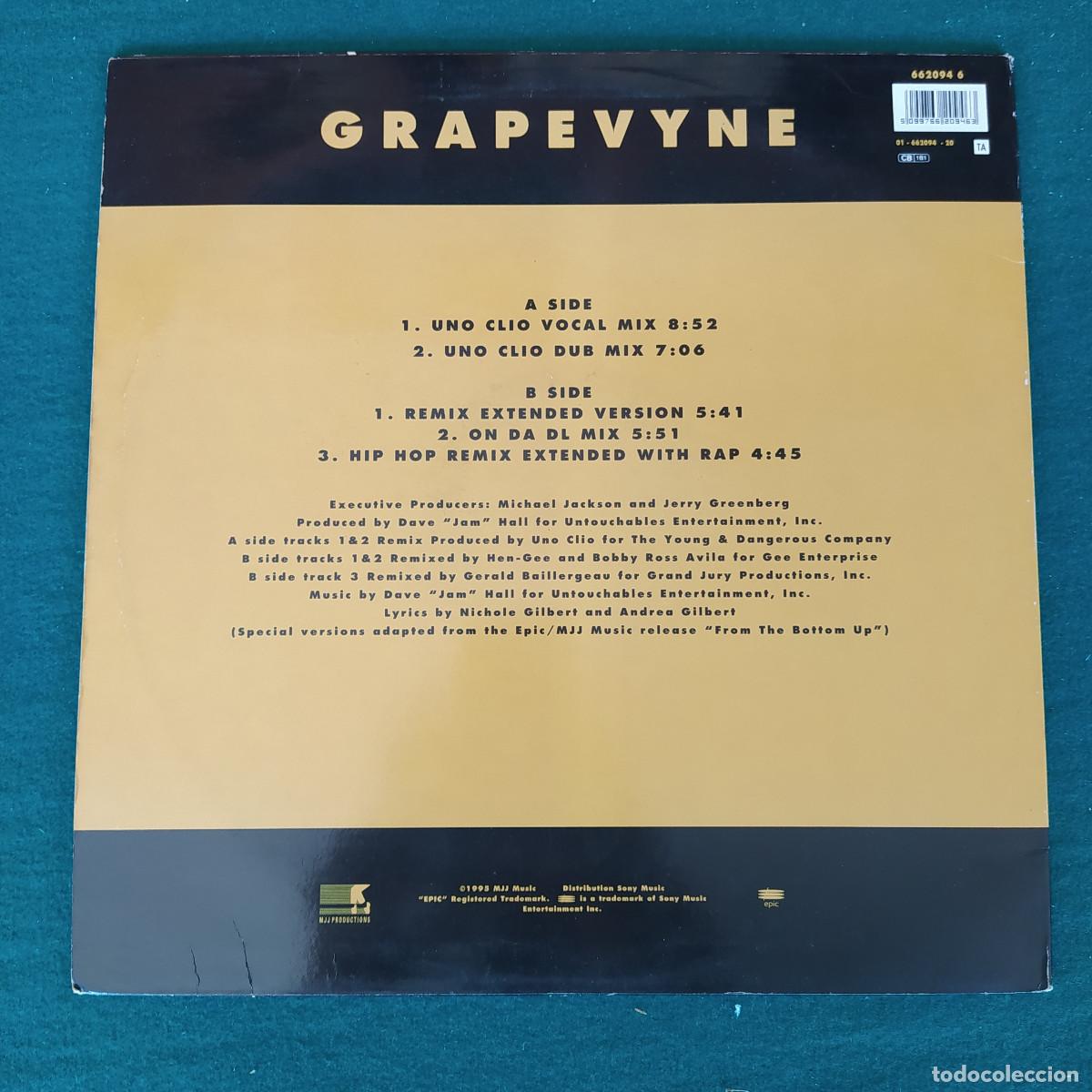 Discos de vinilo: Brownstone &ndash; Grapevyne - Foto 2