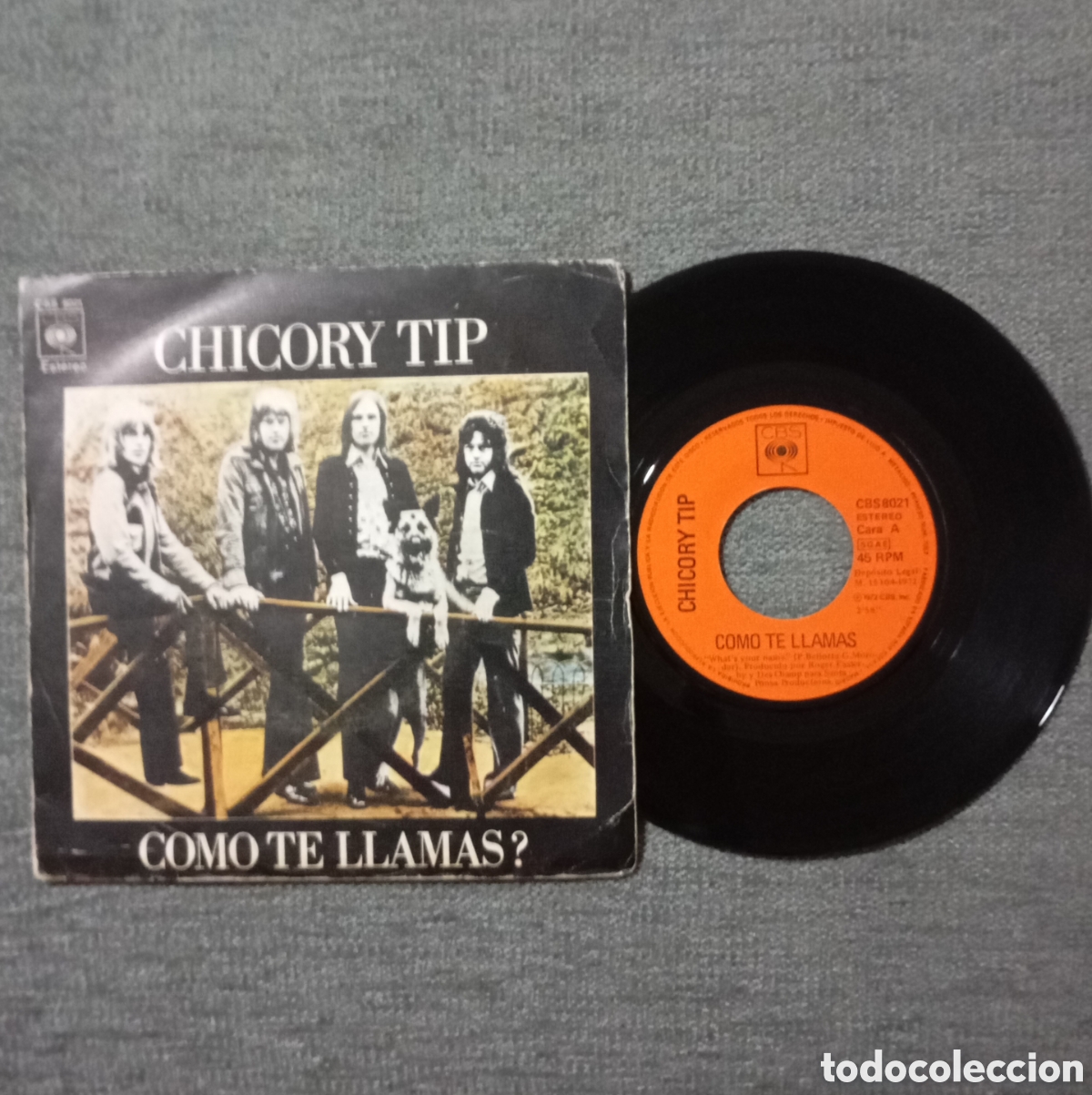 Discos de vinilo: Chicory Tip. Whats Your Name/ Memory. Single 7&rdquo;, a&ntilde;o 1972. - Foto 1
