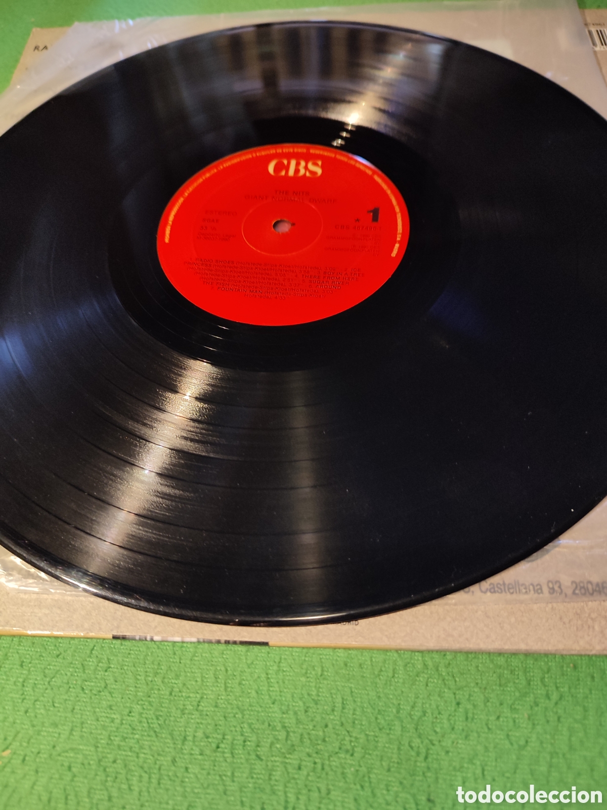 Discos de vinilo: Nits - Giant, Normal, Dwarf Vinilo Lp - Foto 3